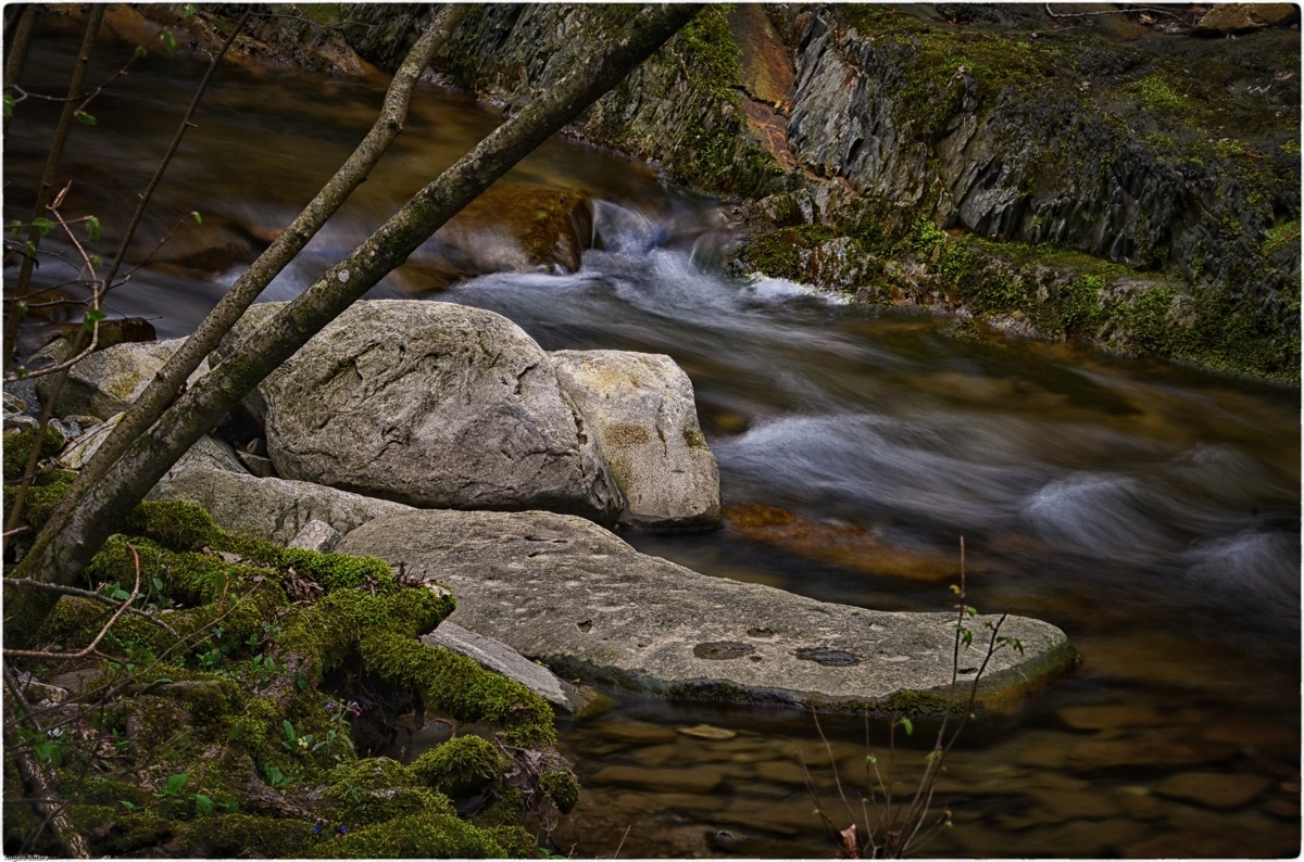 Regional Nature Reserve in the Val Rosandra