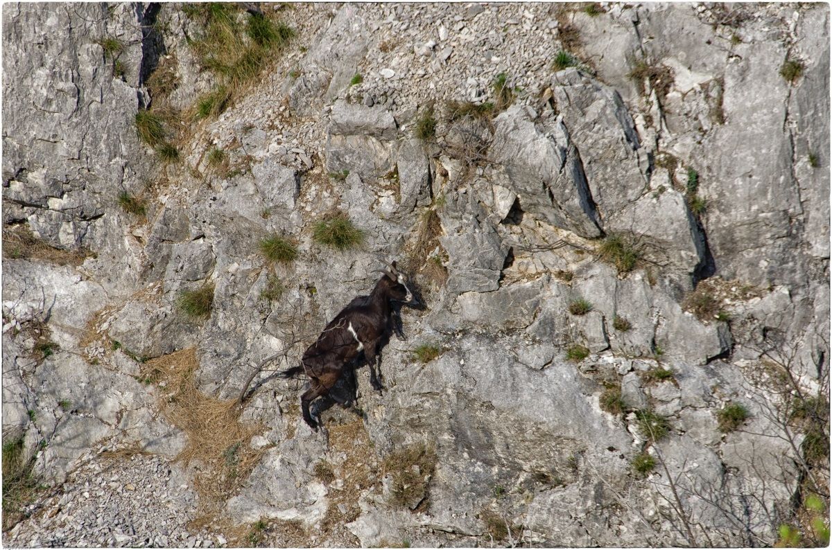 Regional Nature Reserve in the Val Rosandra
