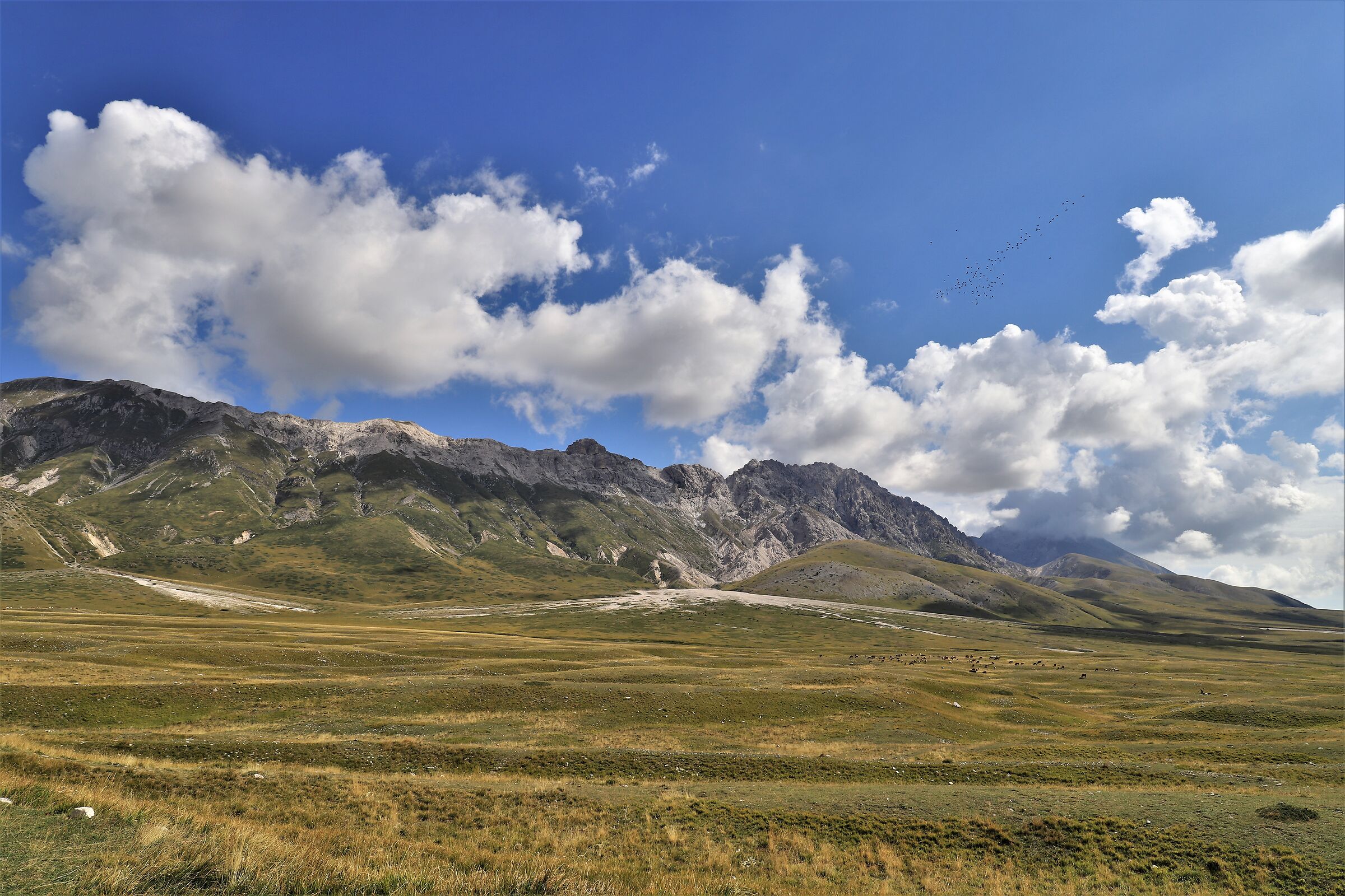 Ai piedi del Gran Sasso