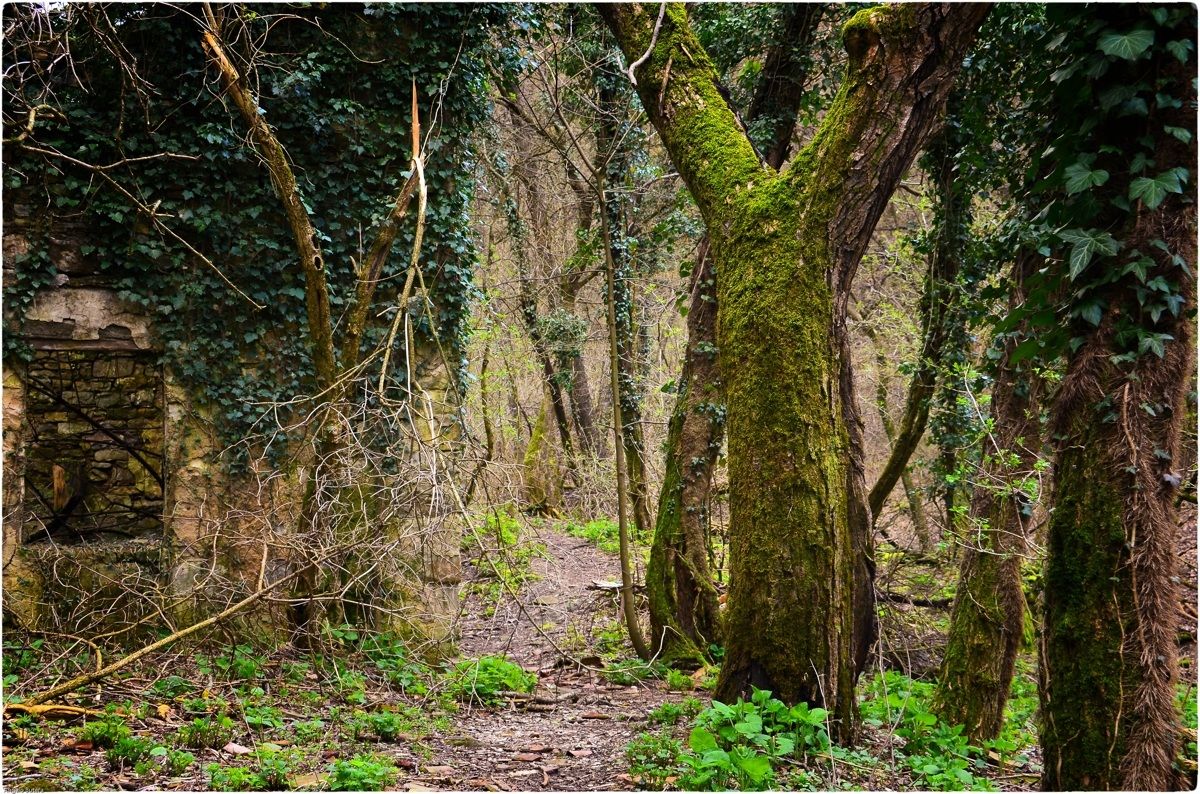 Riserva Naturale Regionale Della Val Rosandra