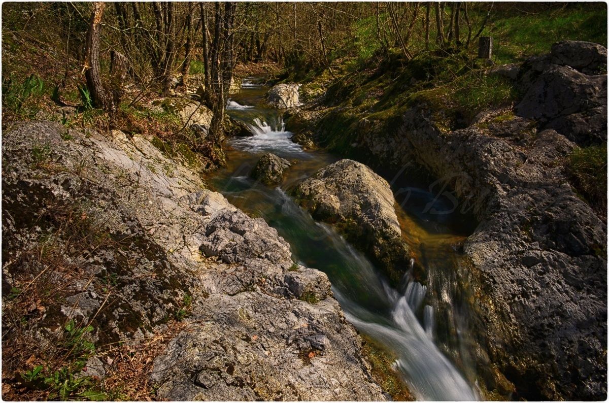 Riserva Naturale Regionale Della Val Rosandra