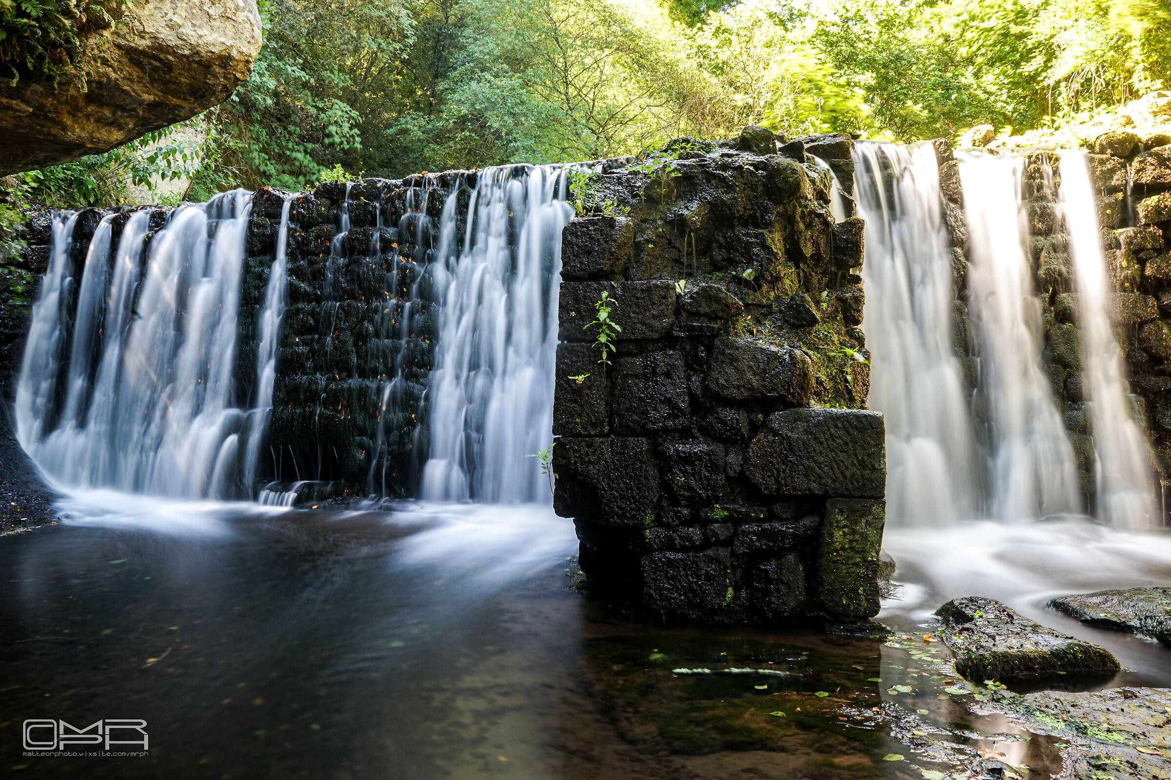 Silk chia
