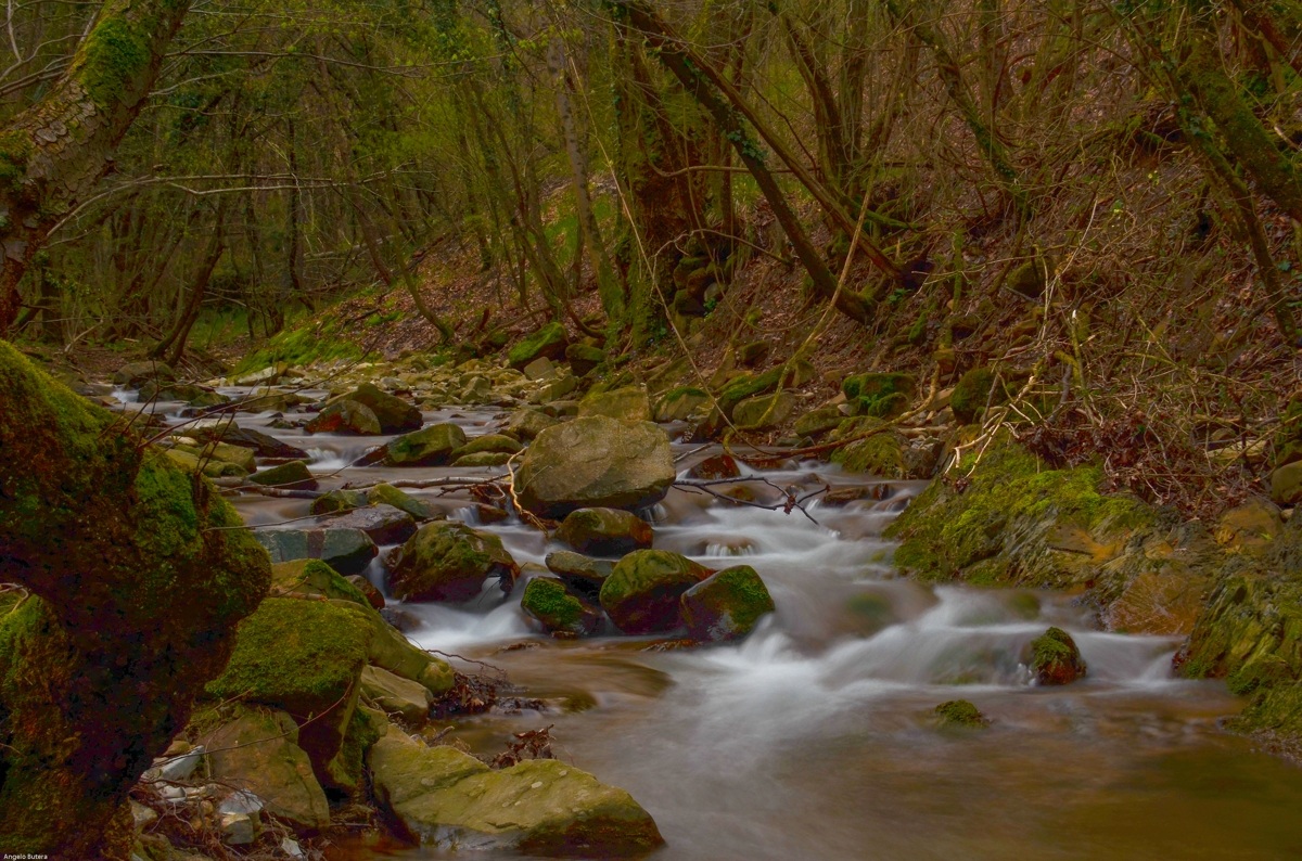 Regional Nature Reserve in the Val Rosandra