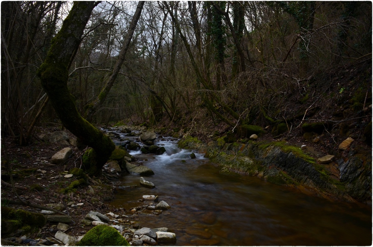 Riserva Naturale Regionale Della Val Rosandra