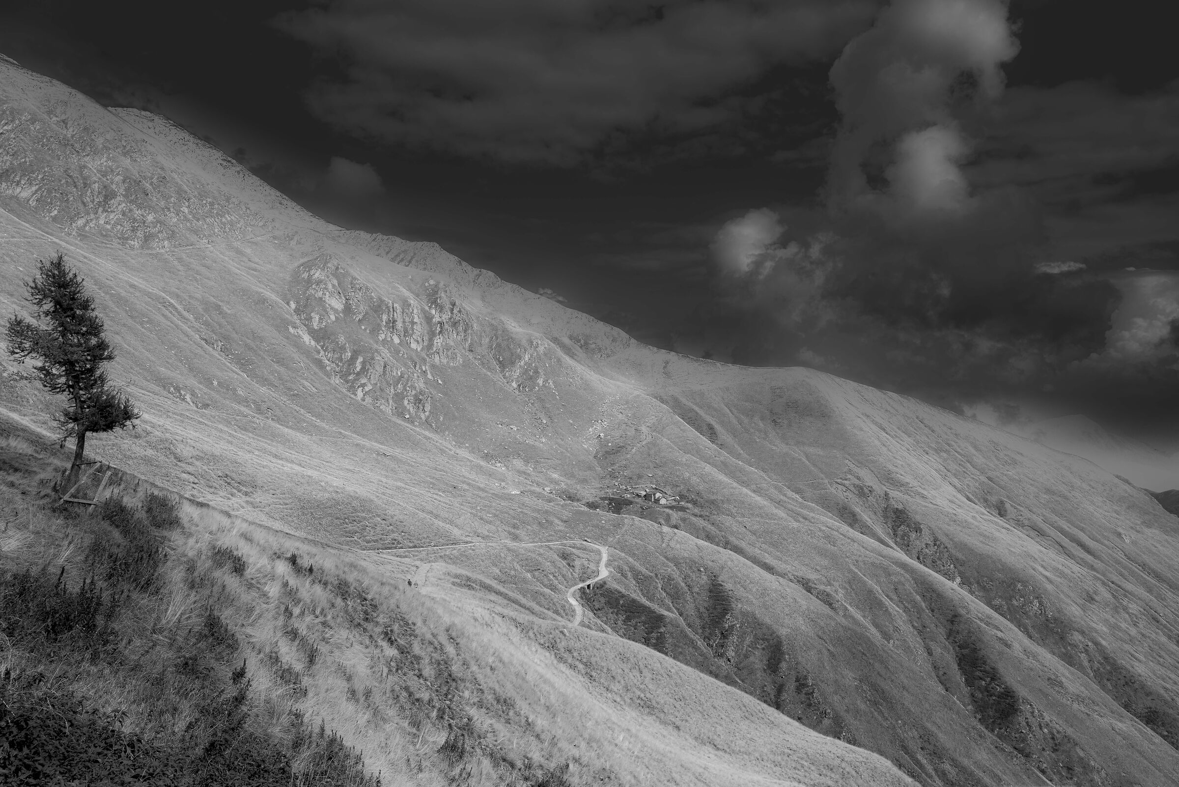 il solitario nella luce