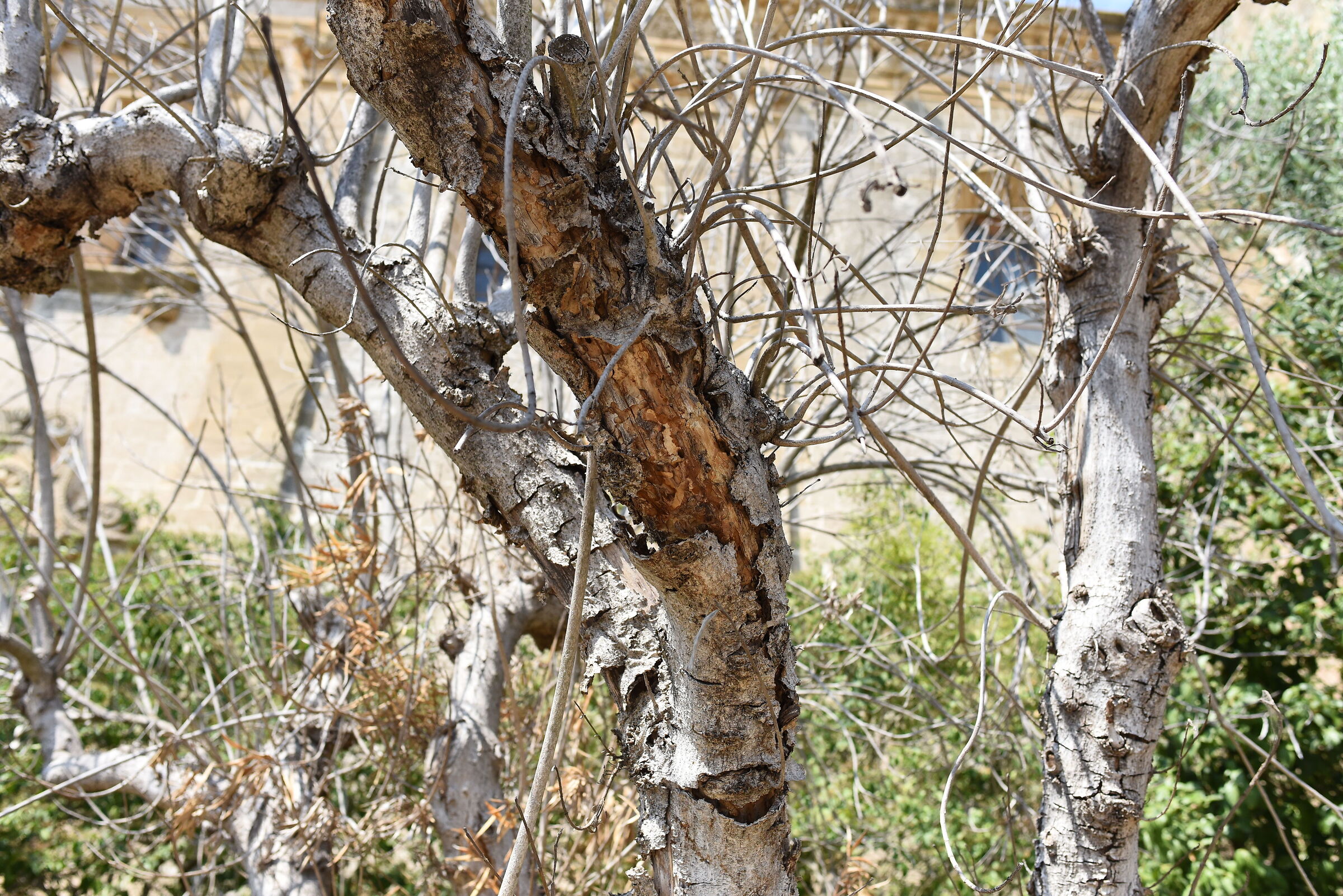 " 1/ 4.0 0 0 ", F. 4.8, ISO 1.0 0 0- Nikon 28, 1.4 E ED