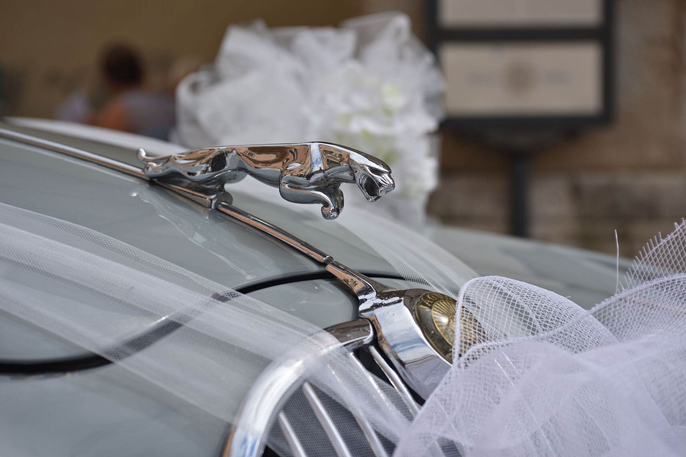 Test Nikkor AF 28-85 F/3.5-4.5 -focal 85 f.7.1