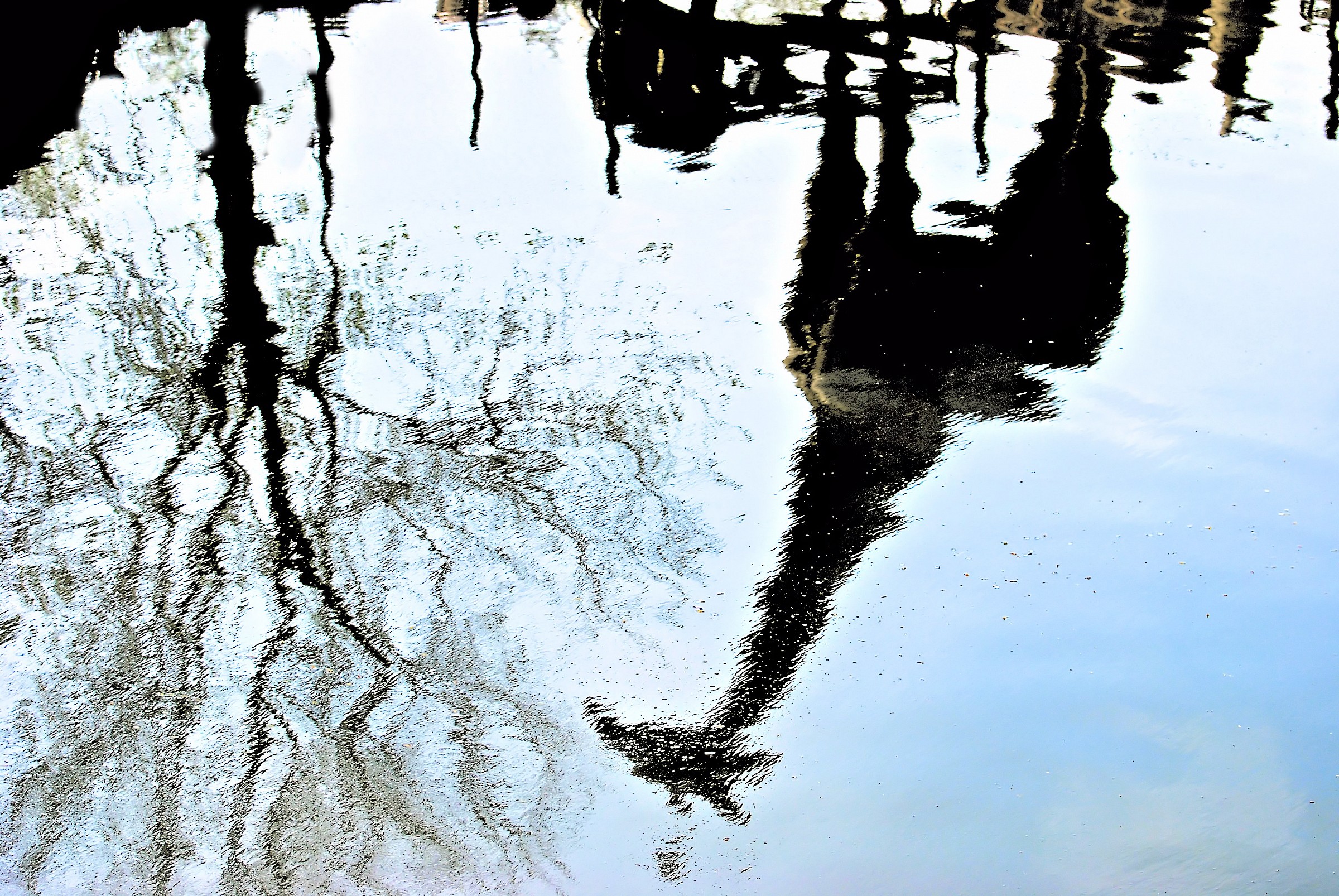 reflections "of Africa" ??(vignola)