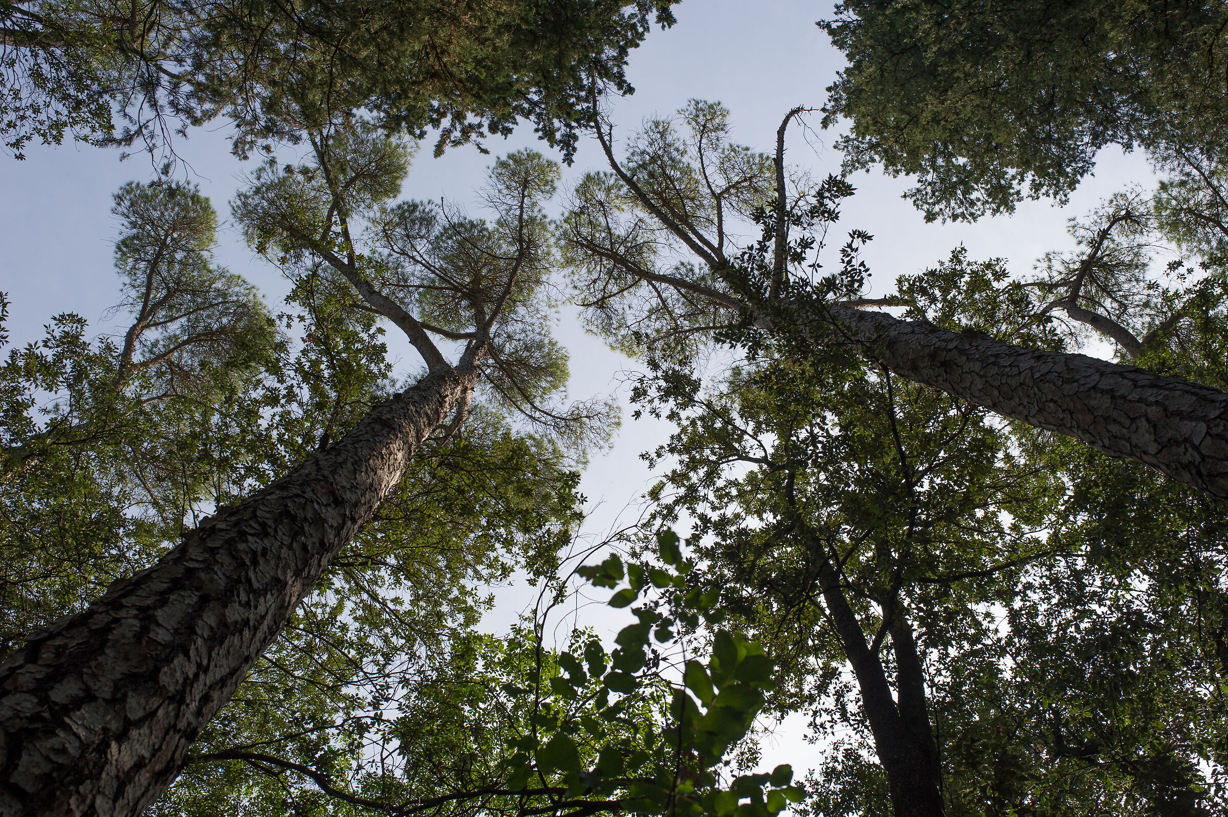 Riserva naturale Abbadia di Fiastra