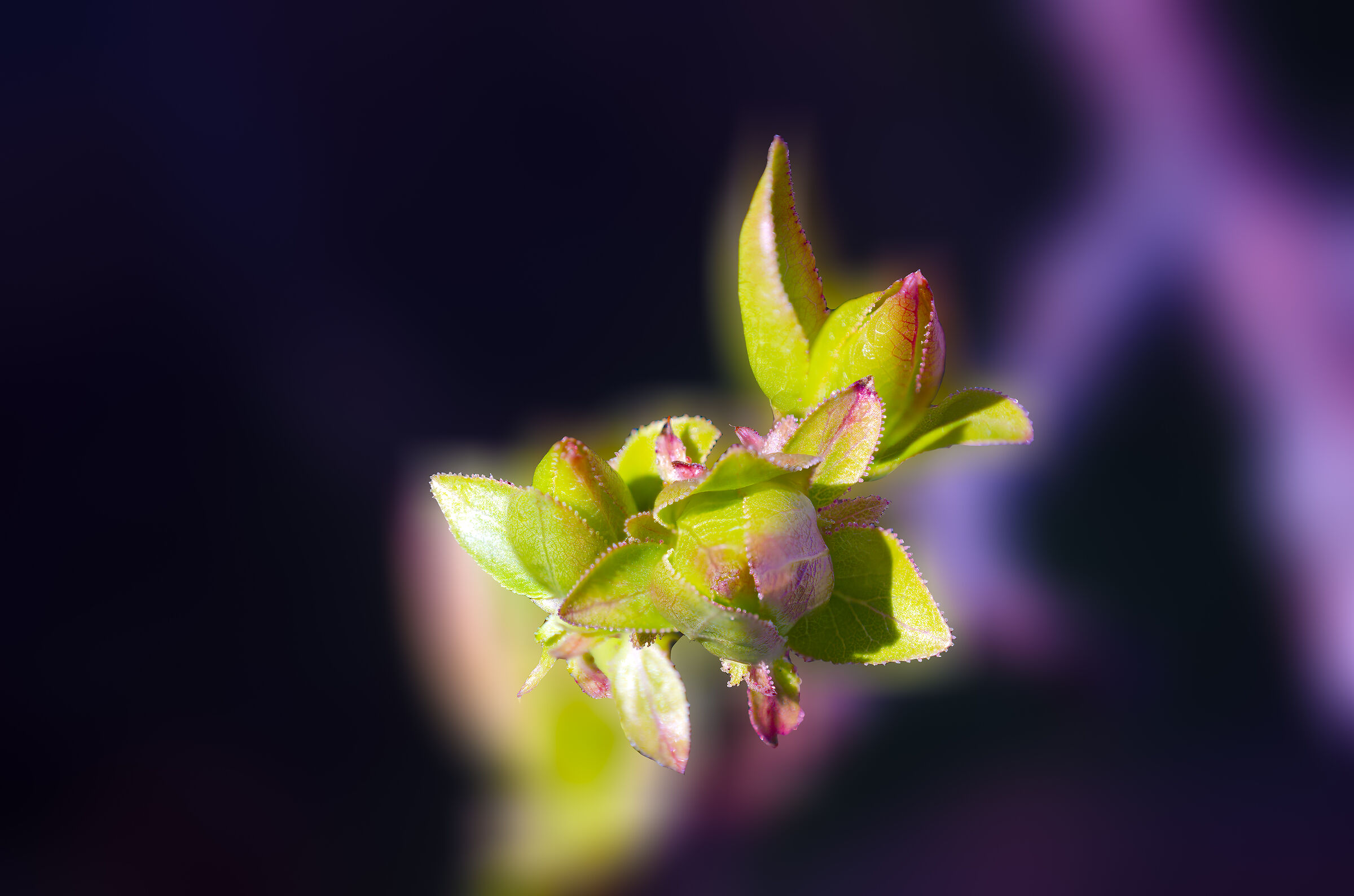 Untitled Photo