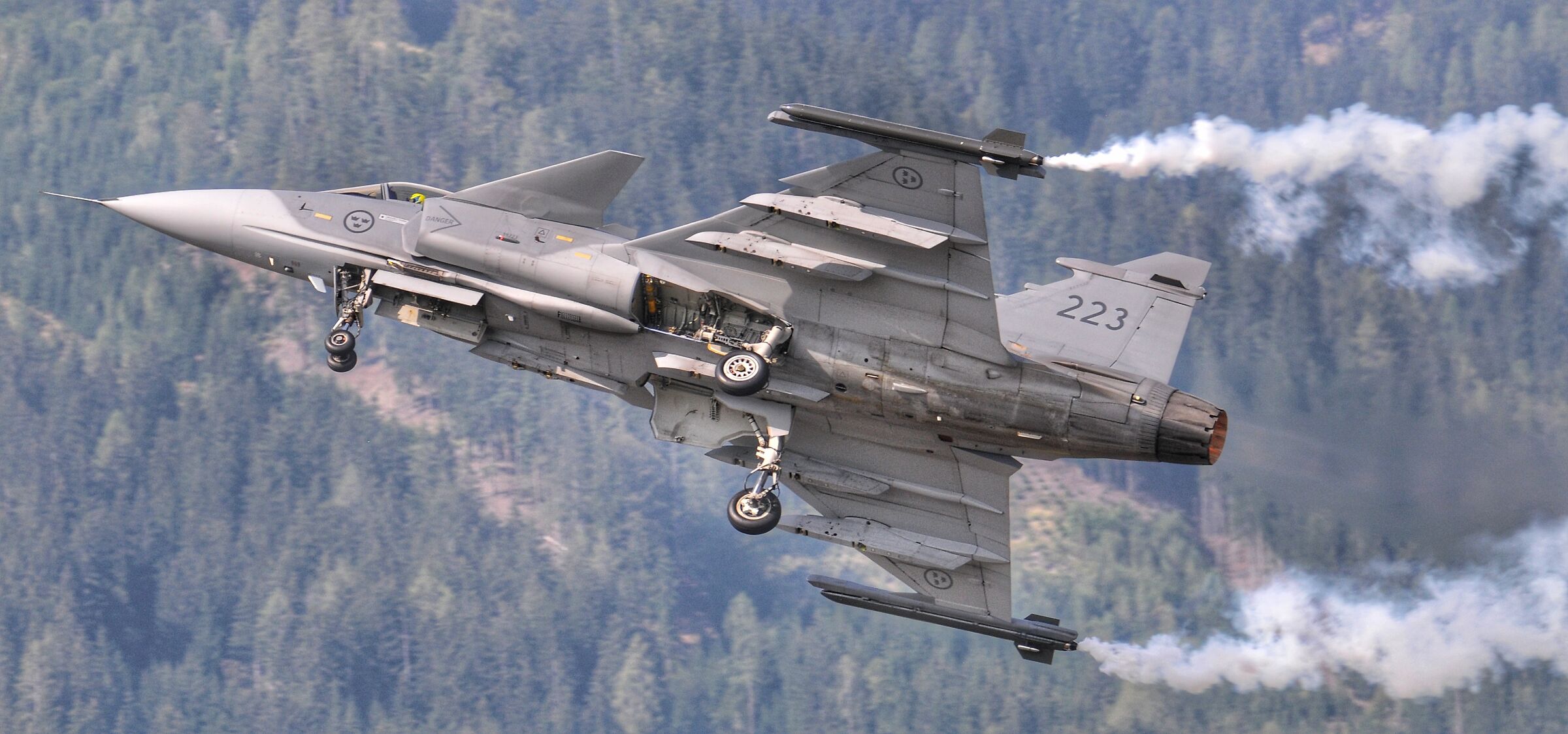 Air Power Show - Gripen