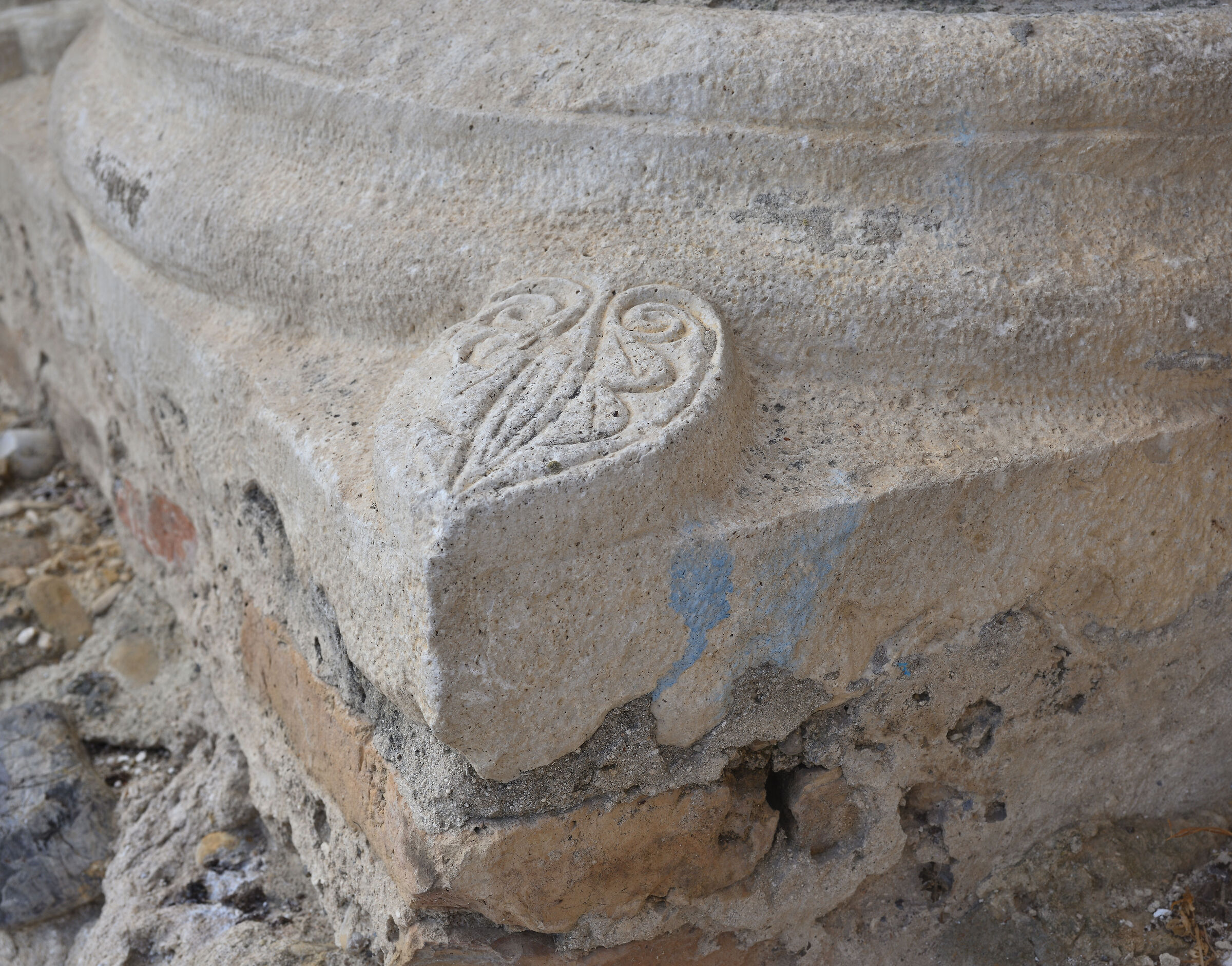 Test Nikkor AF 28-85 F/ 3,5-4,5  - focale 62mm f.11