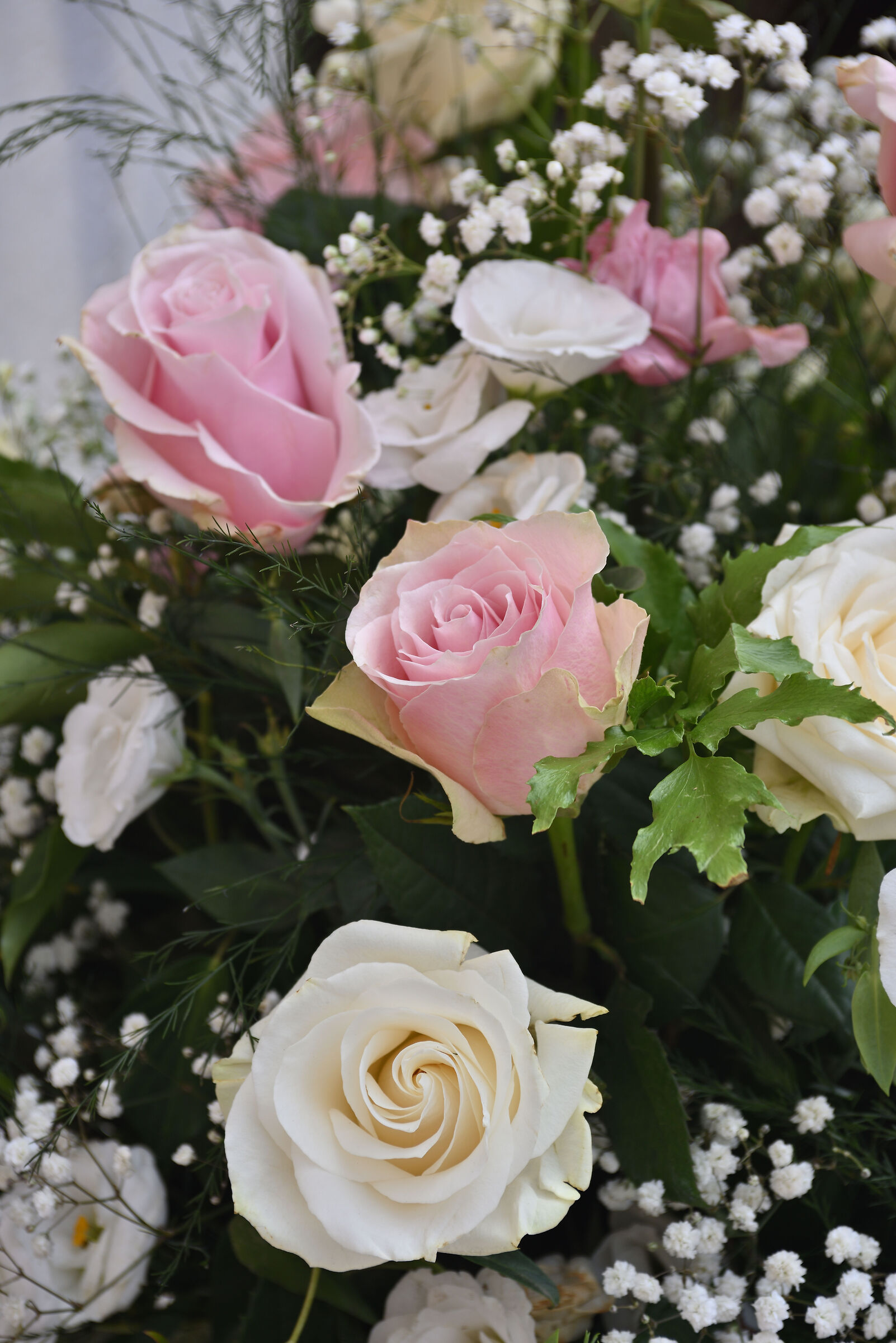 Test Nikkor 28-85 F/ 3,5-4,5  - focale 85mm  f.7,1