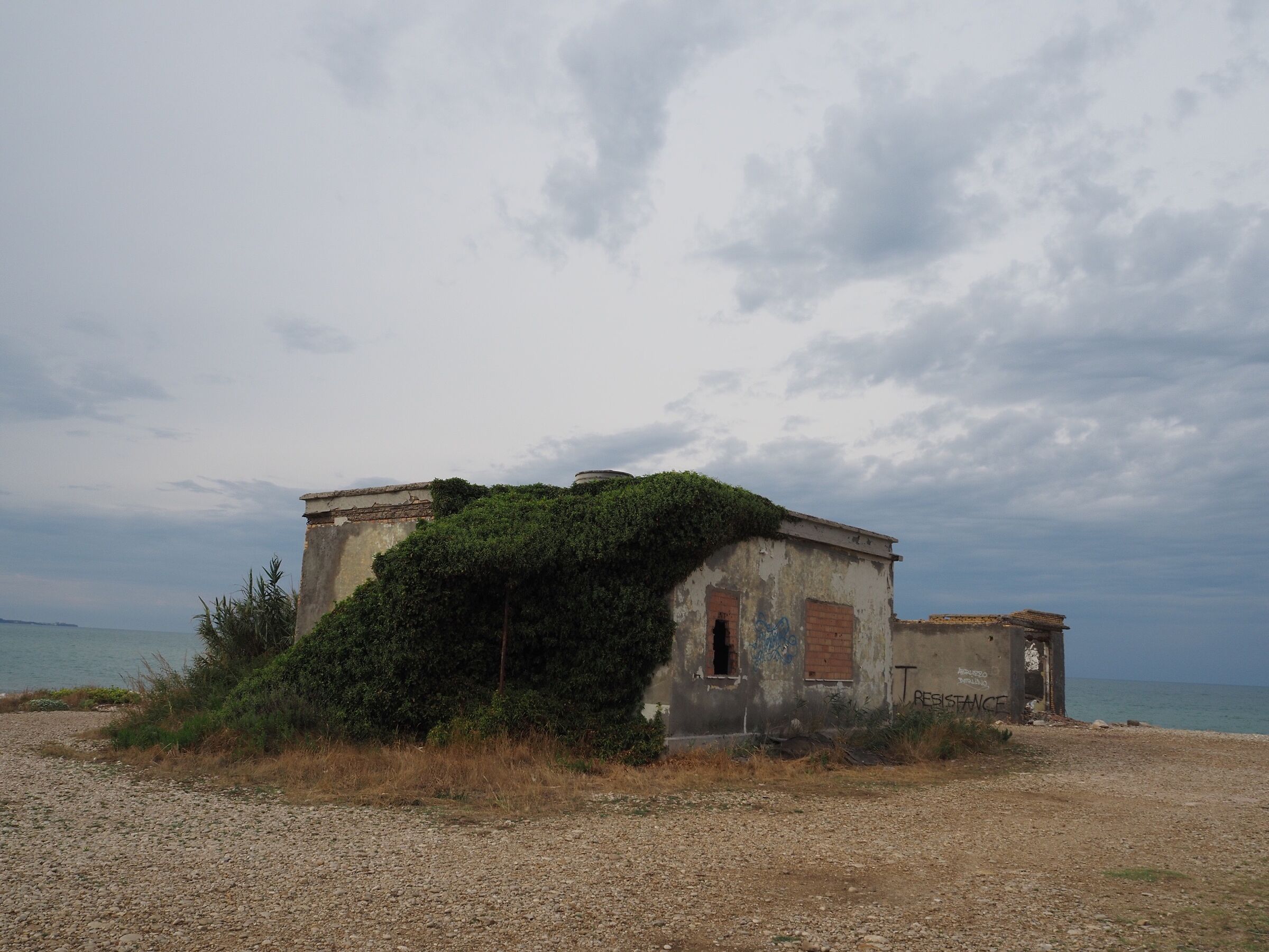 Untitled Photo