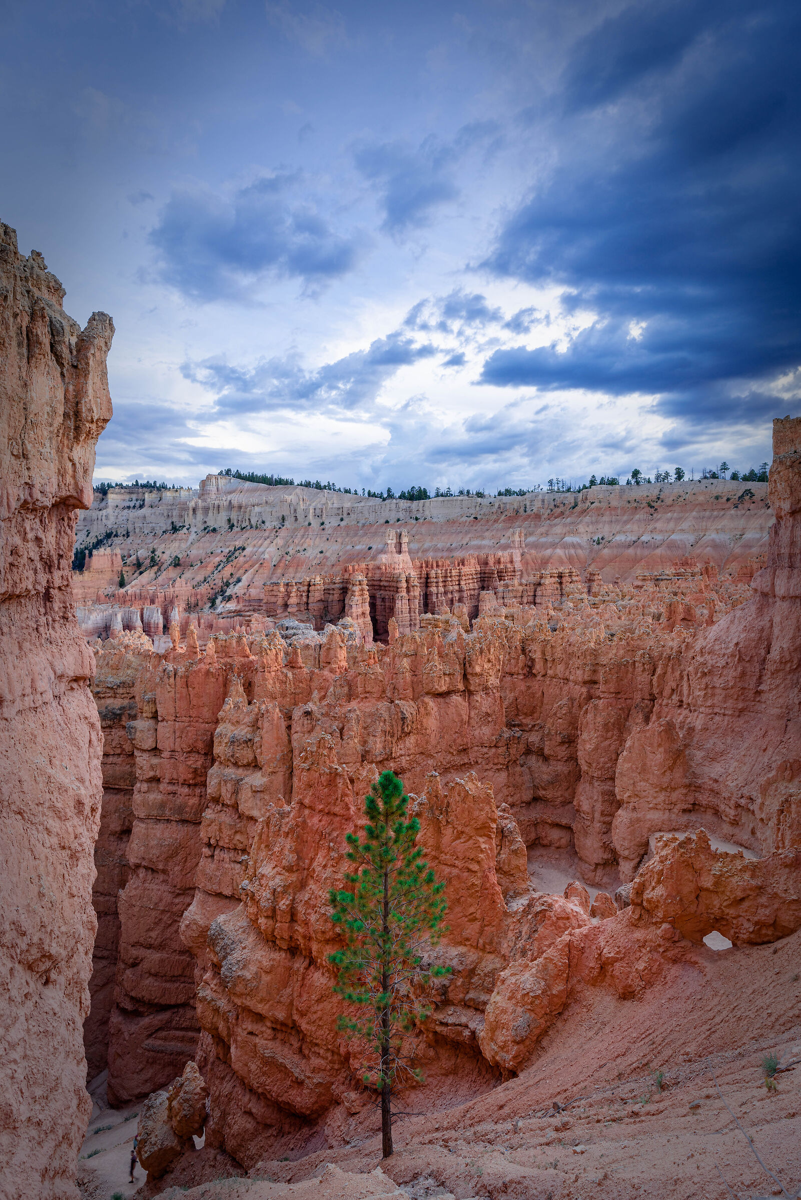 nature against nature