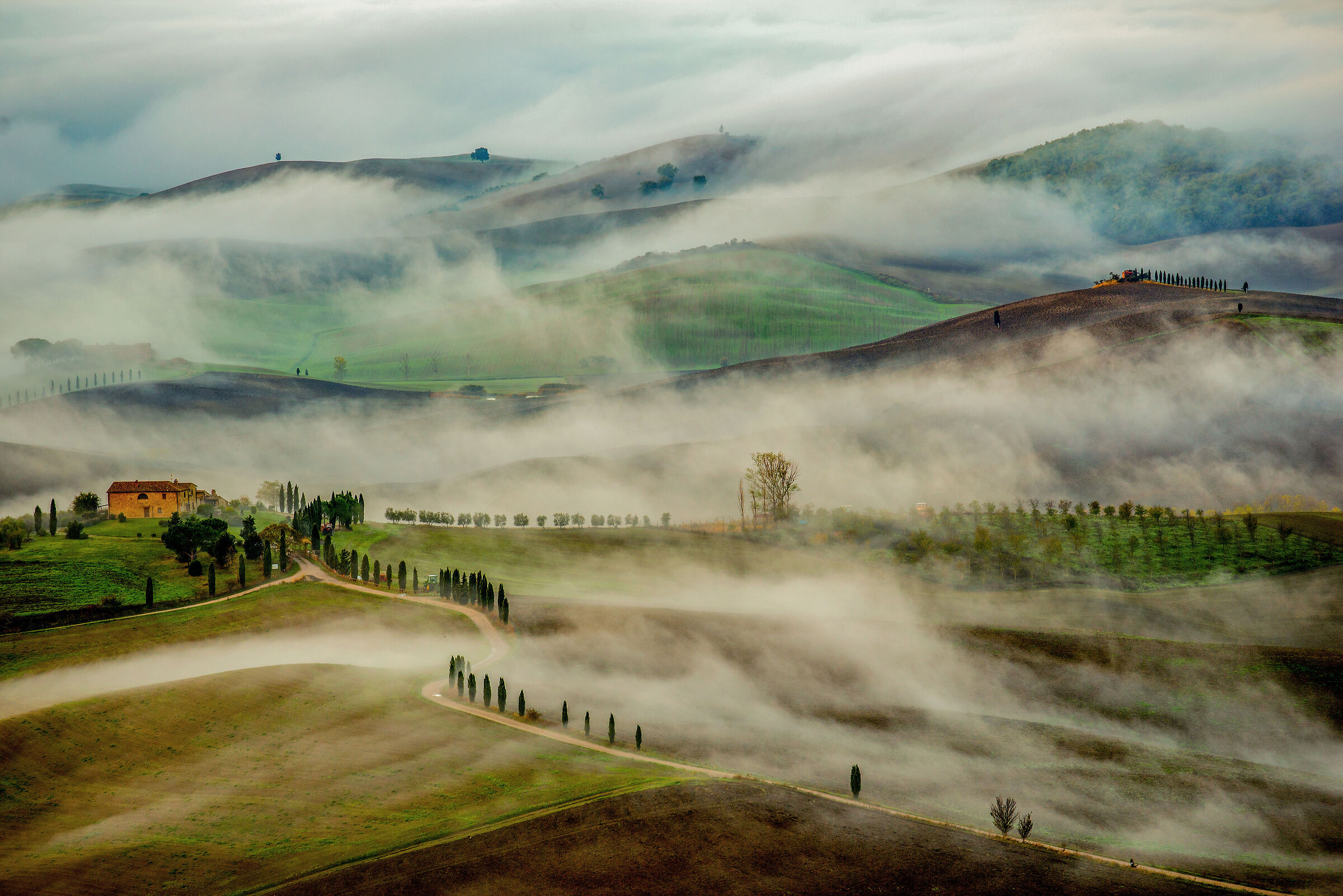 a foggy morning...