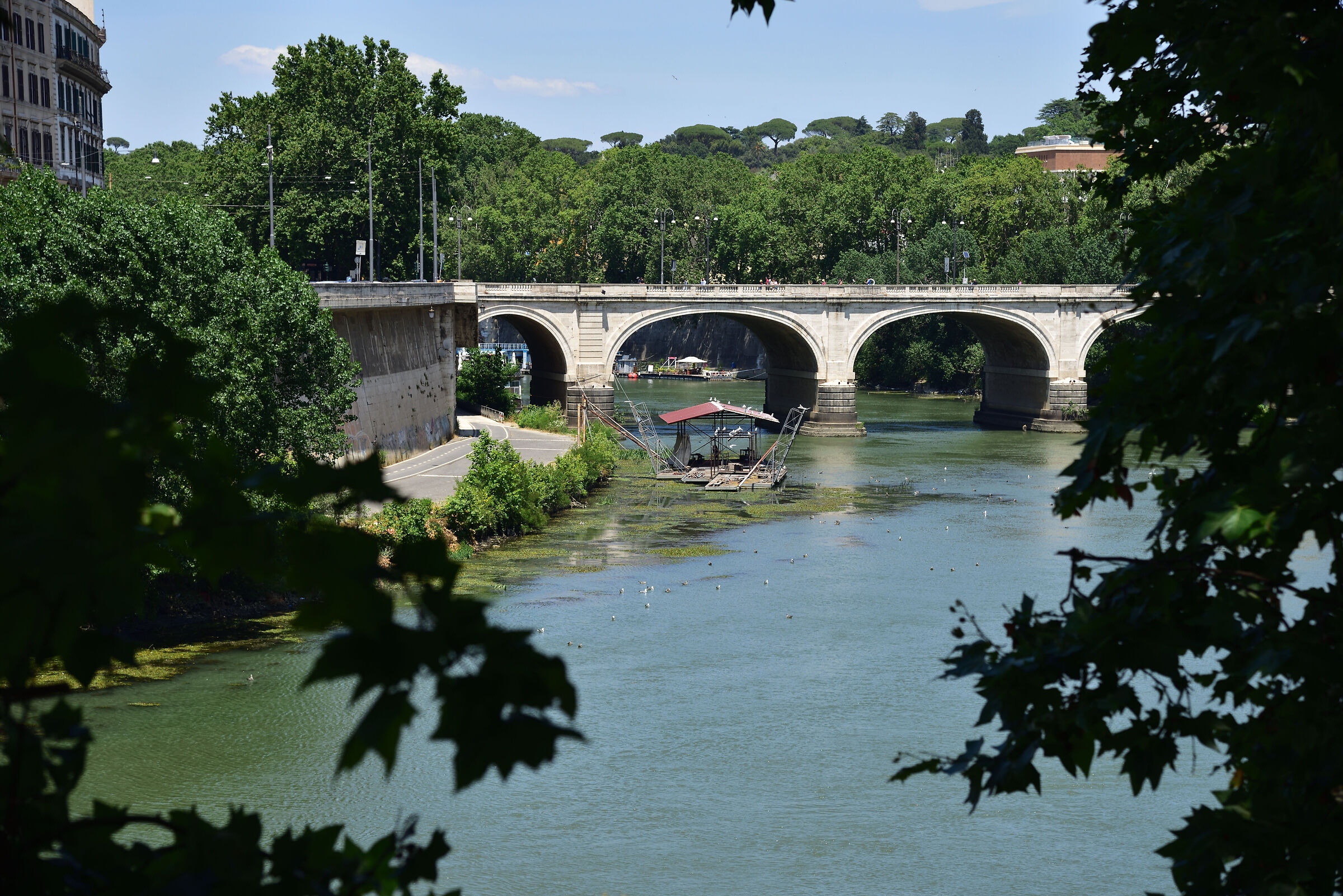 il biondo Tevere.....