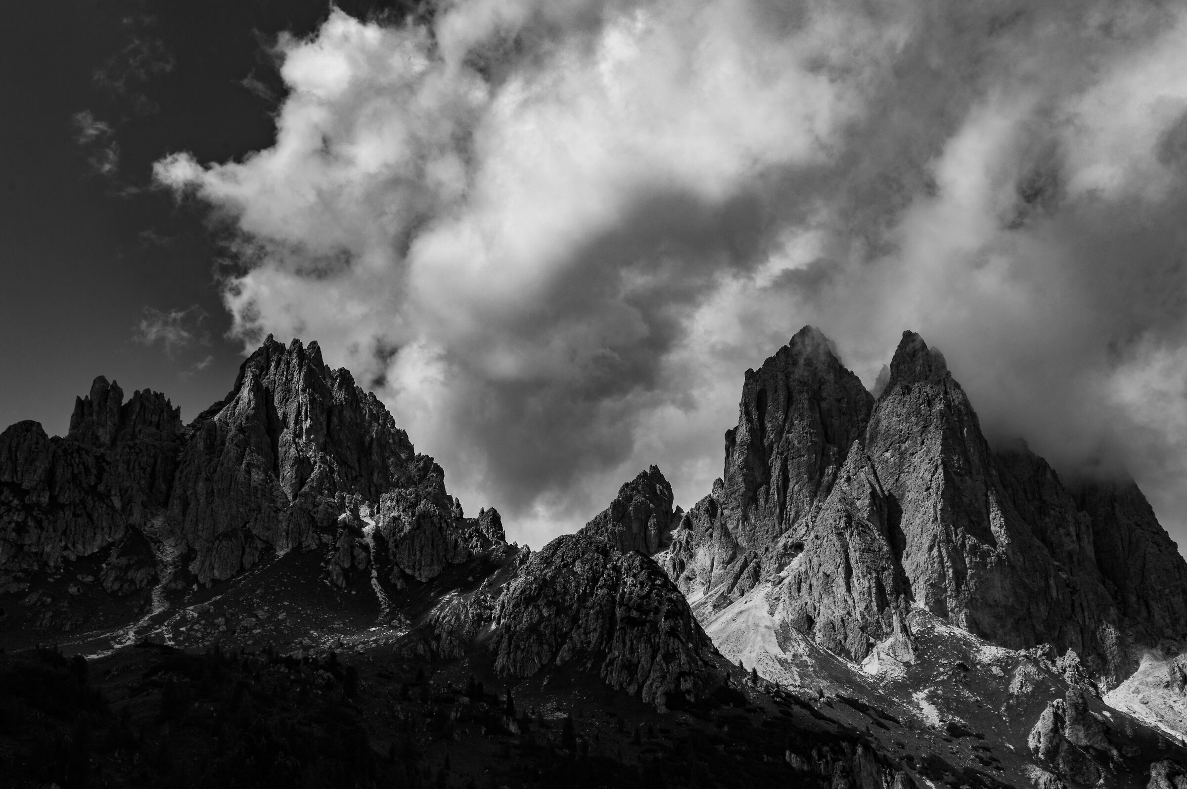 Refuge city of Carpi