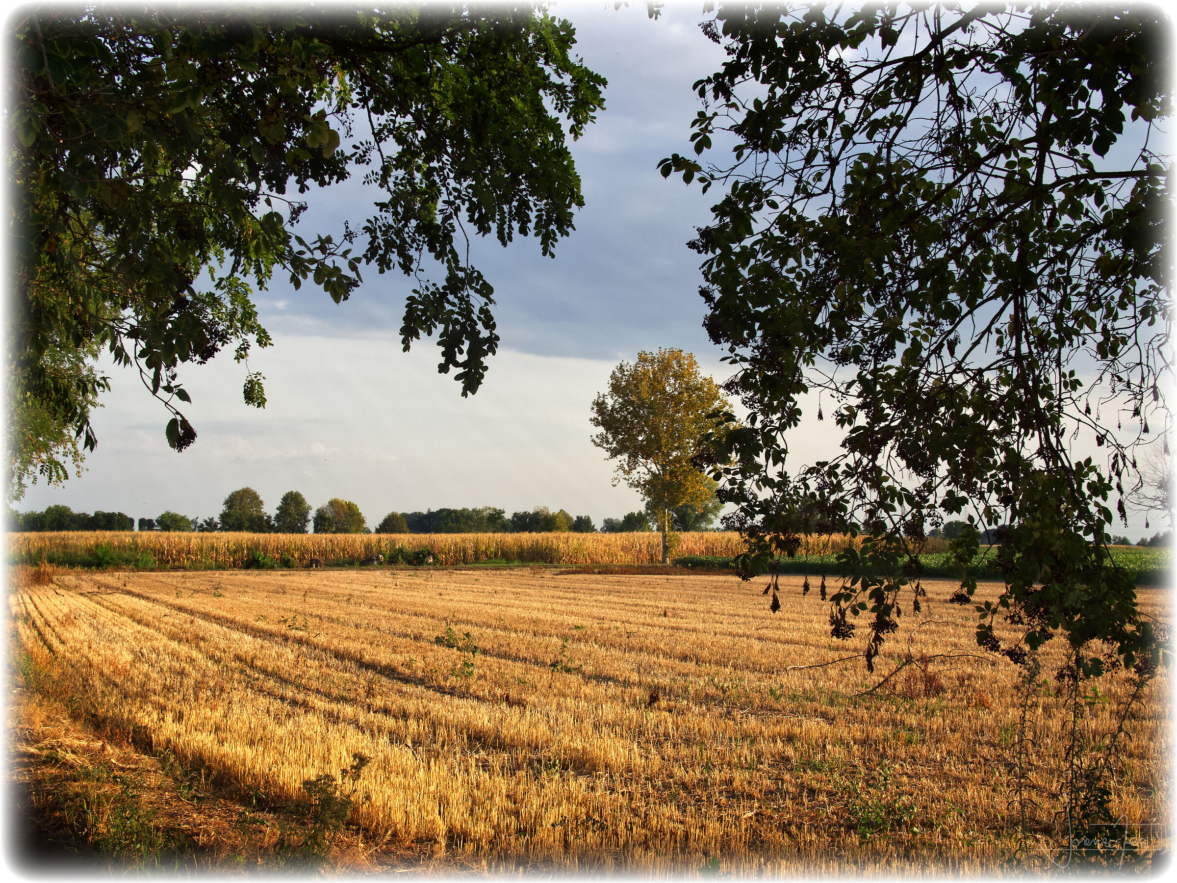 Campagna
