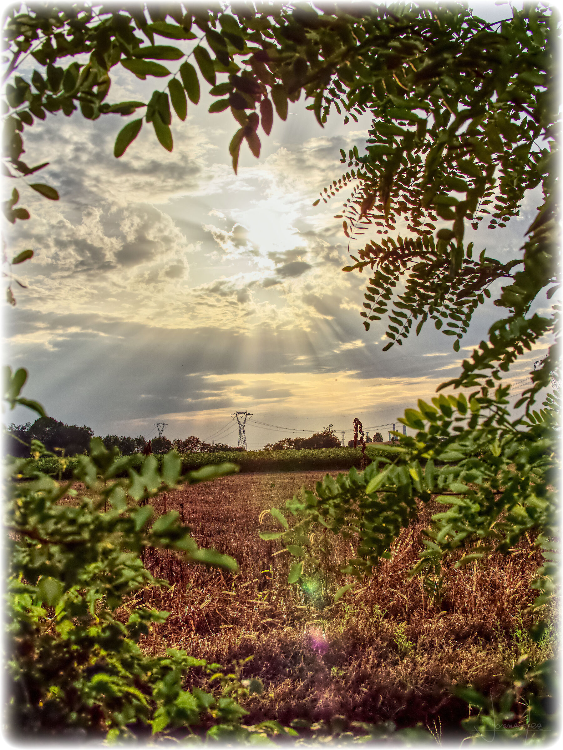 Campagna 2
