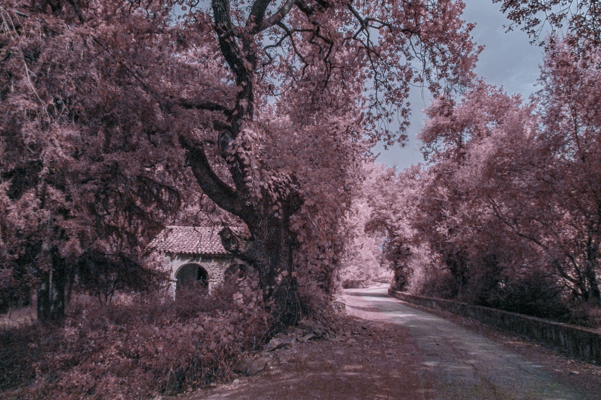 First infrared experiments