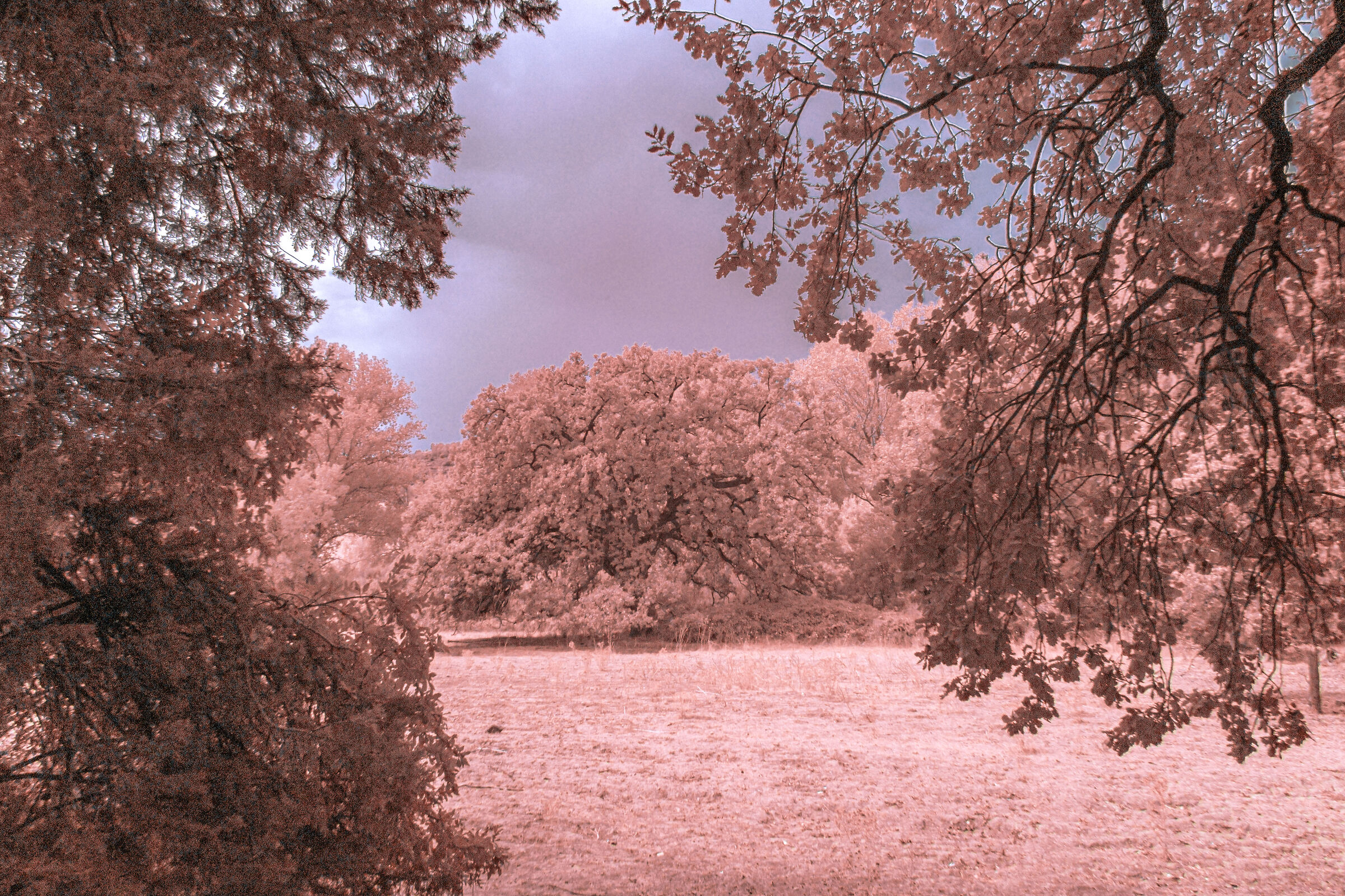 First infrared experiments