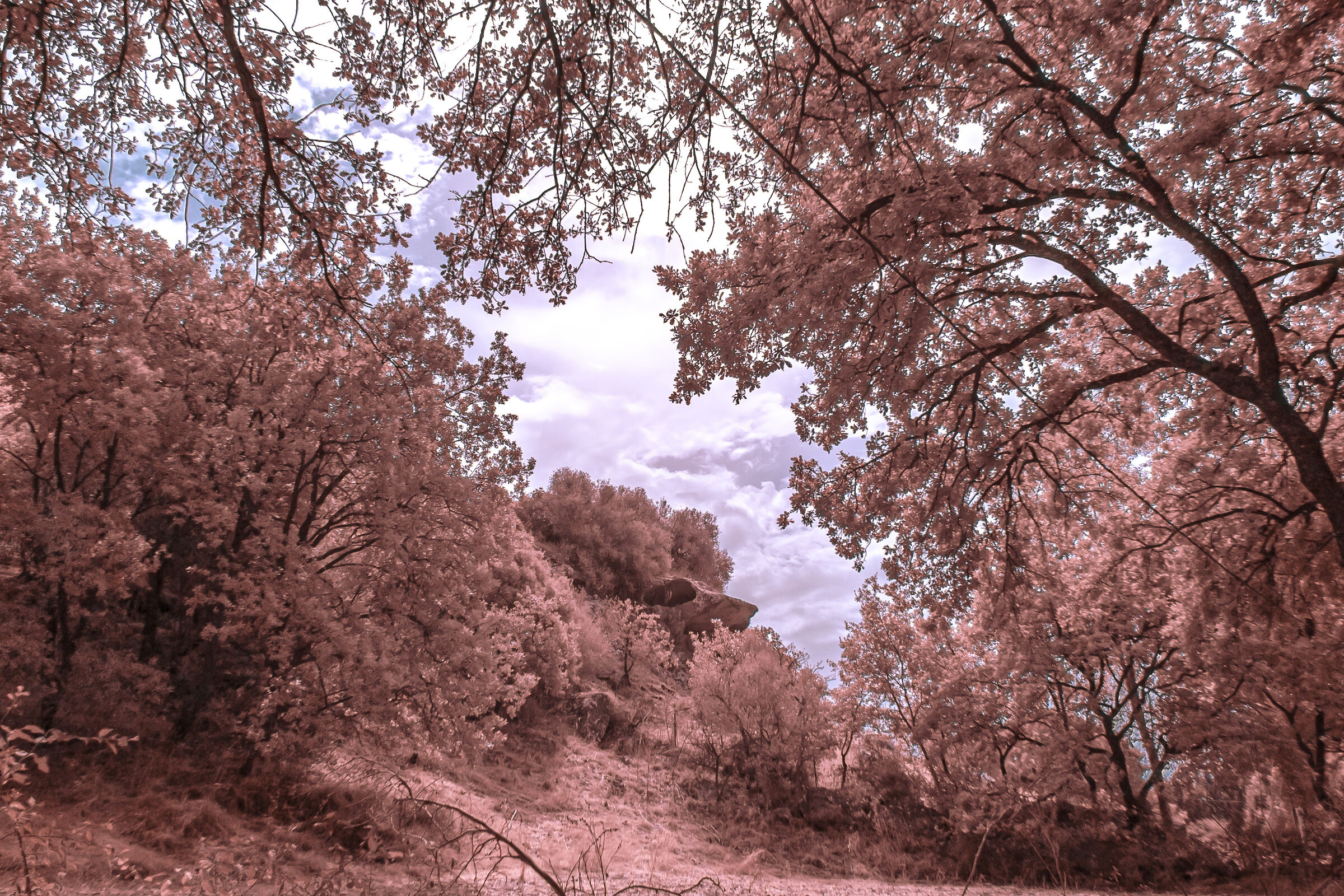 First infrared experiments