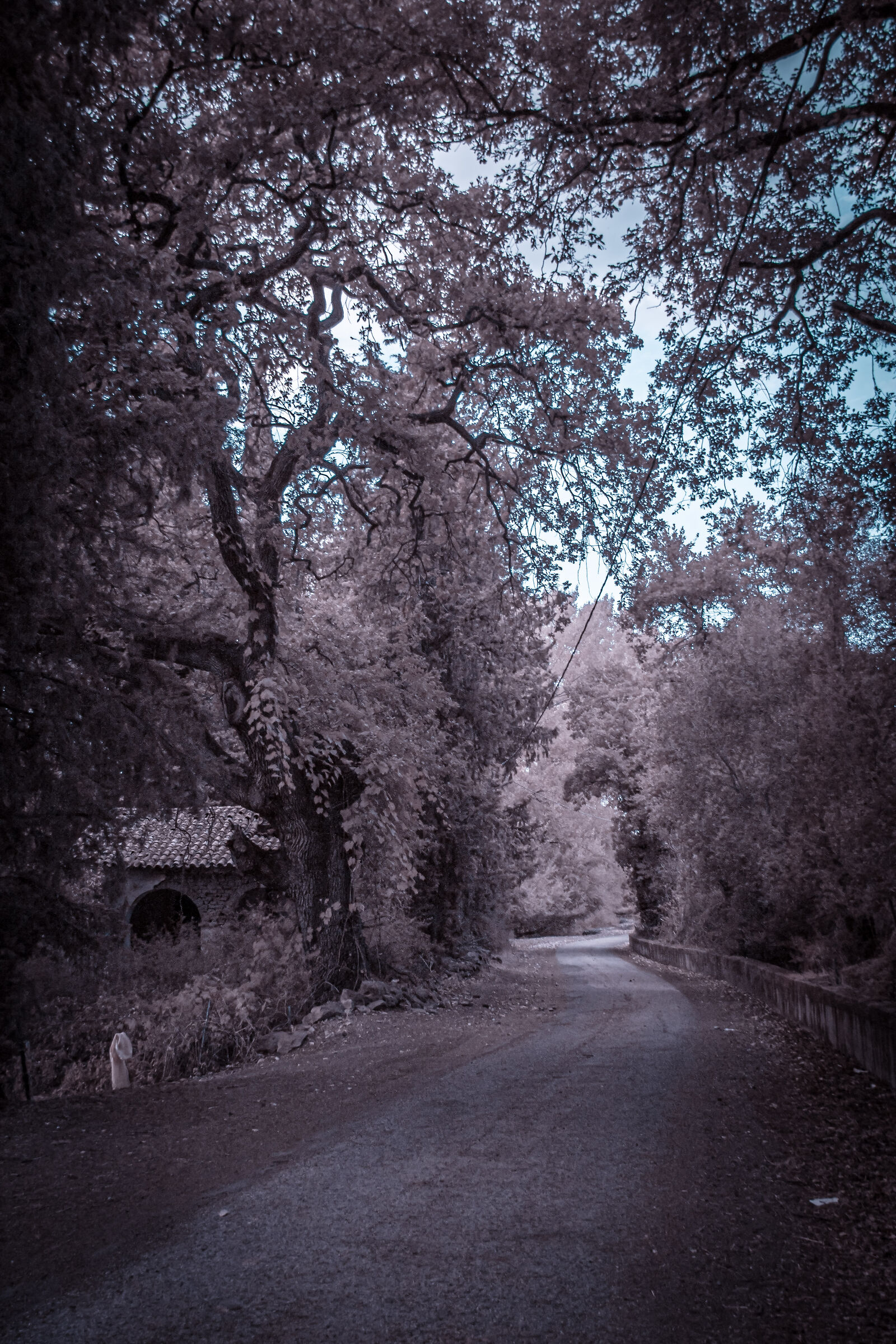 First infrared experiments