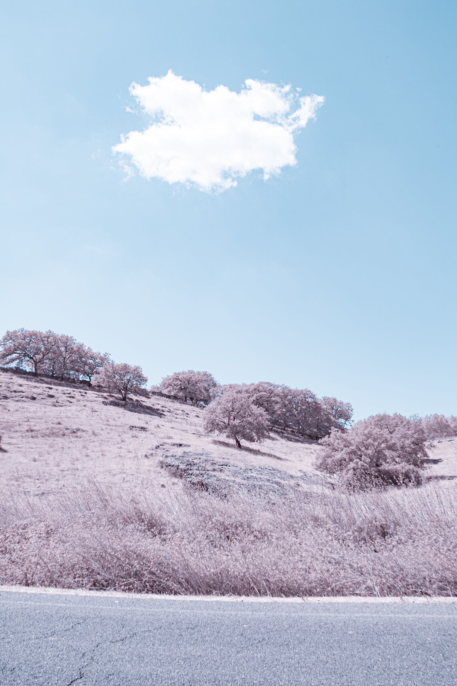 First infrared experiments