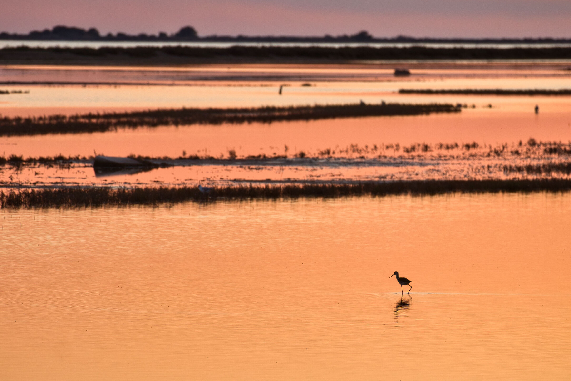 Tramonto - Camargue - Francia