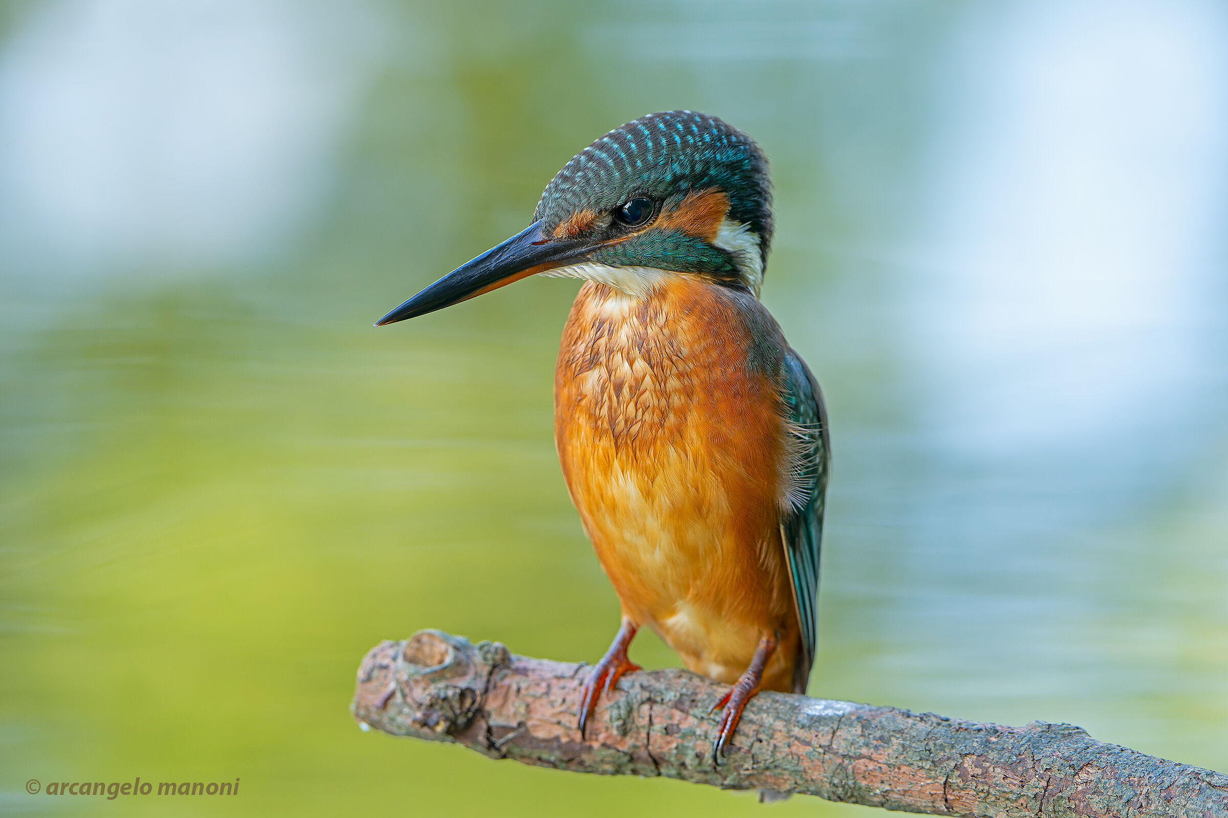 The martina on the river