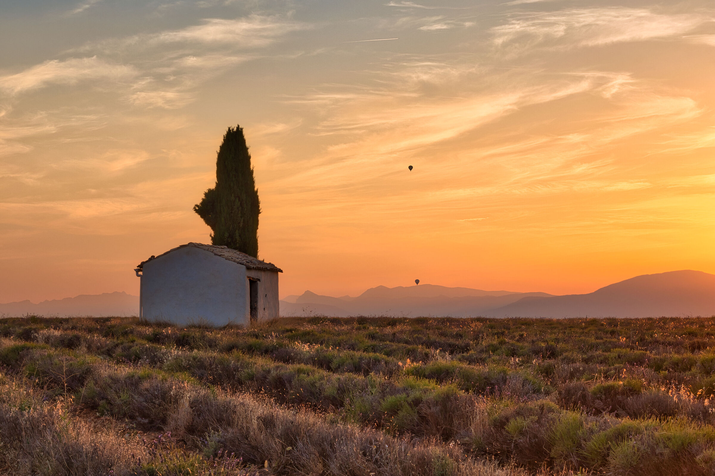 Alba a Valensole - Francia