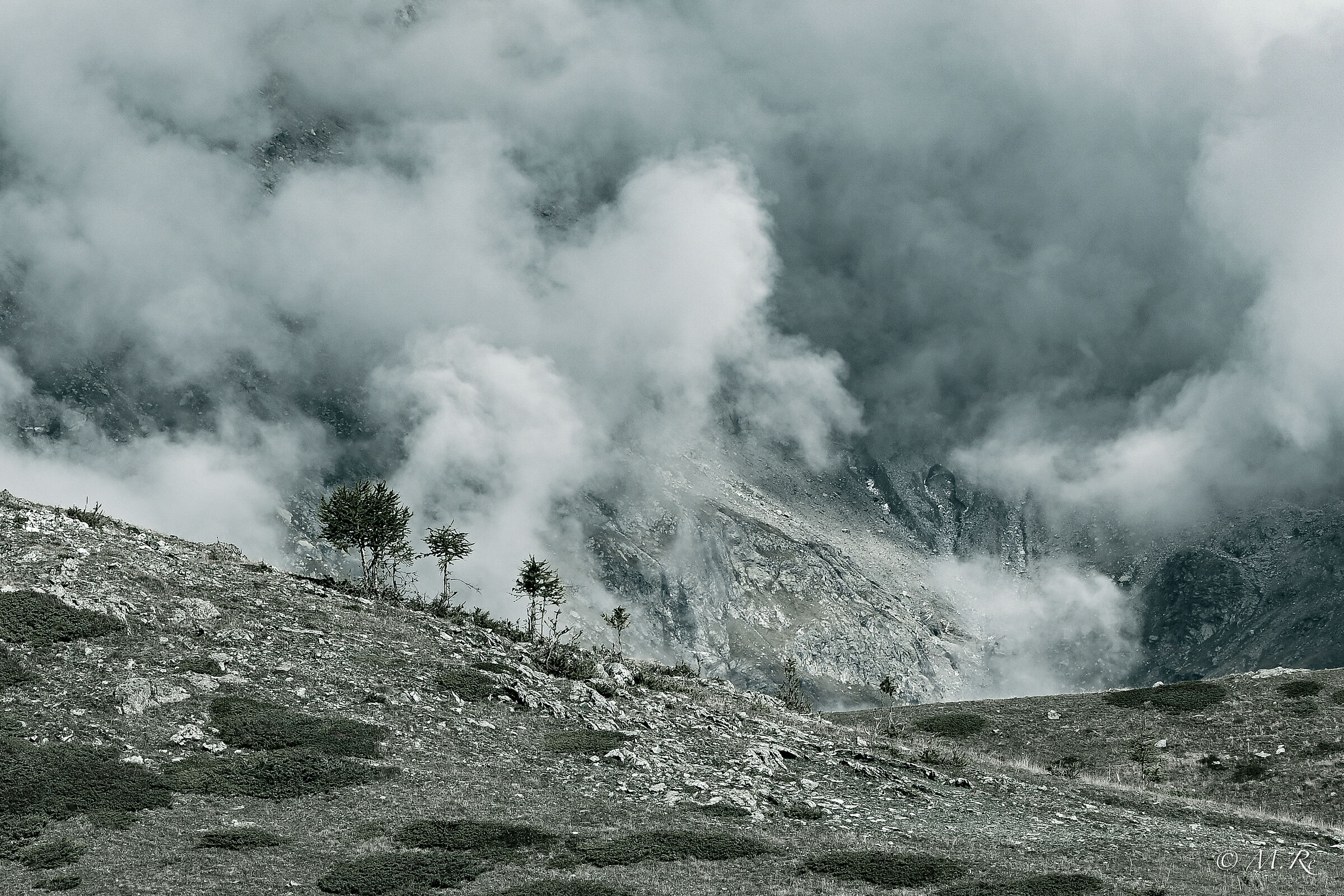 Alberi e nuvole