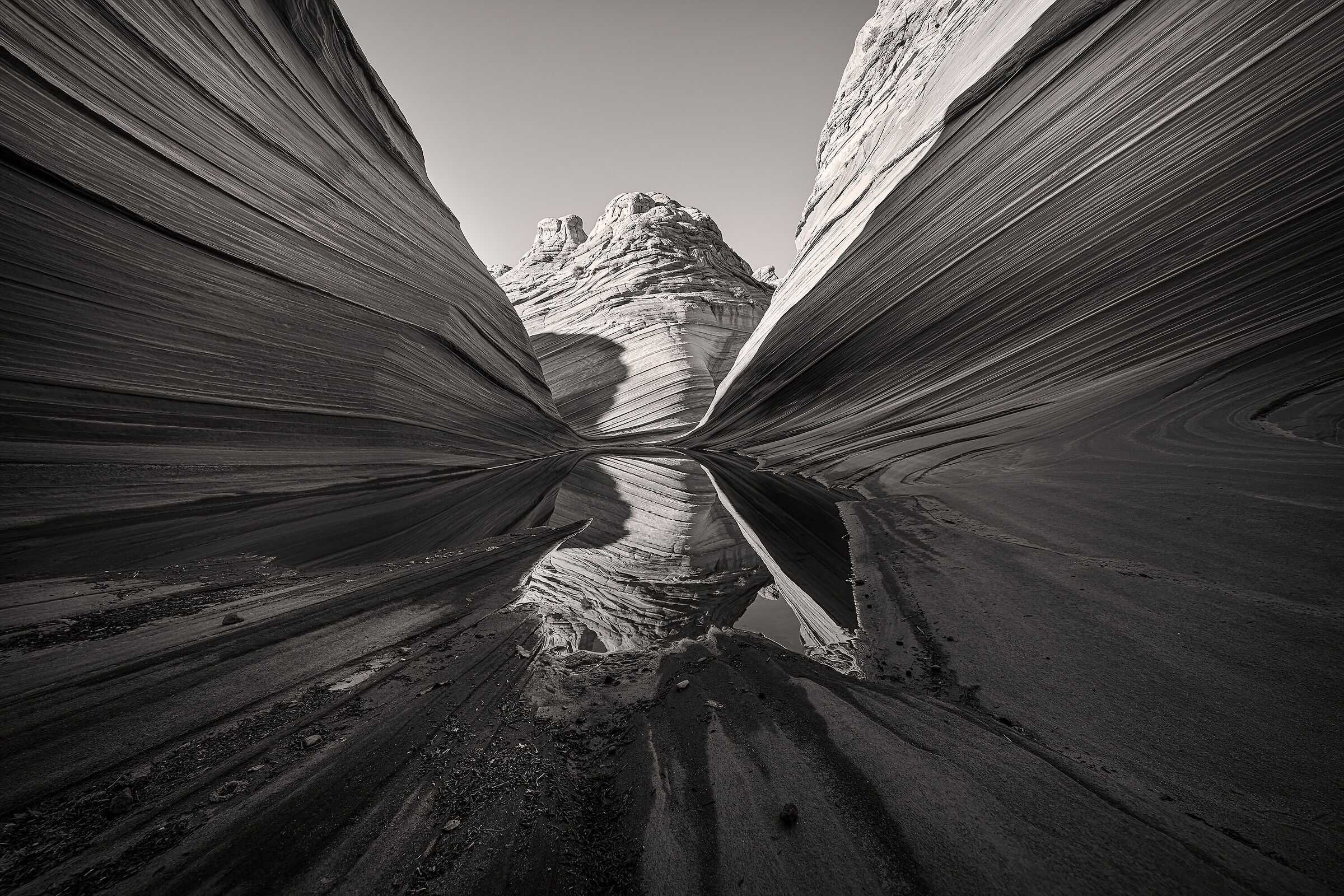 The Wave, 8 anni dopo