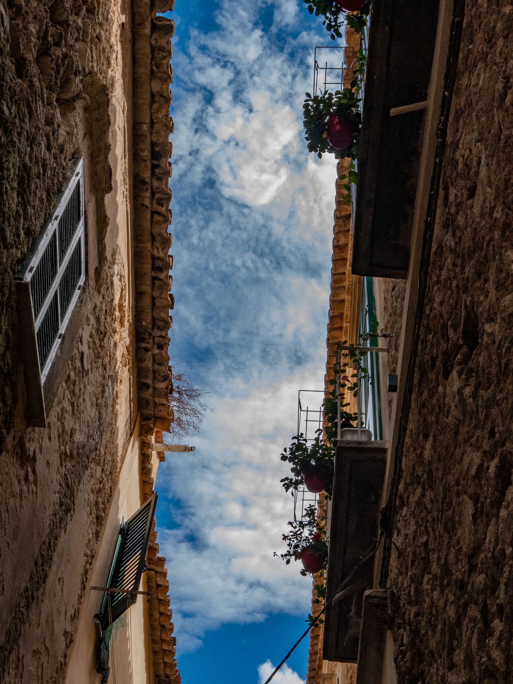 Light in the alleys 2