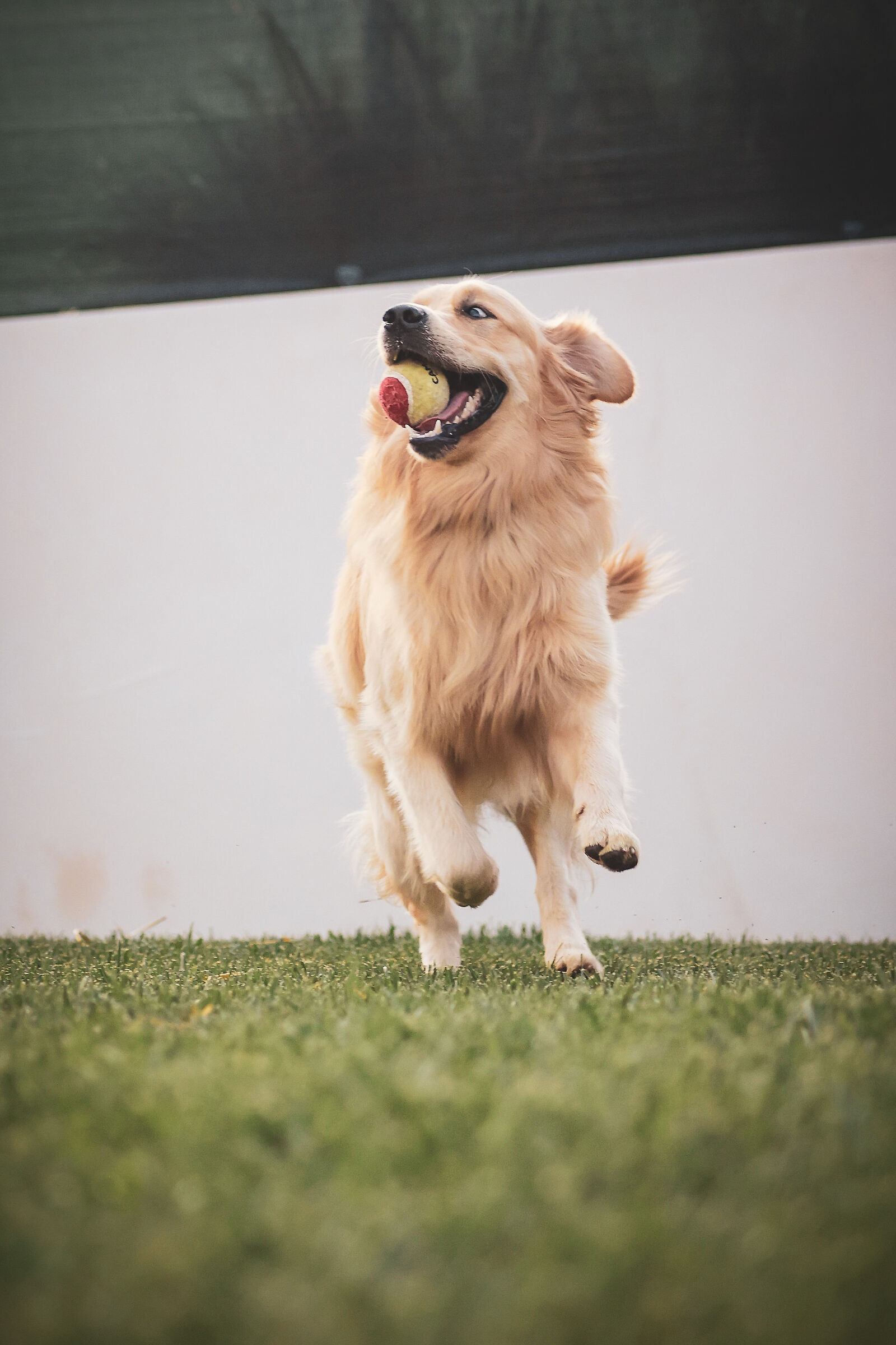 Running