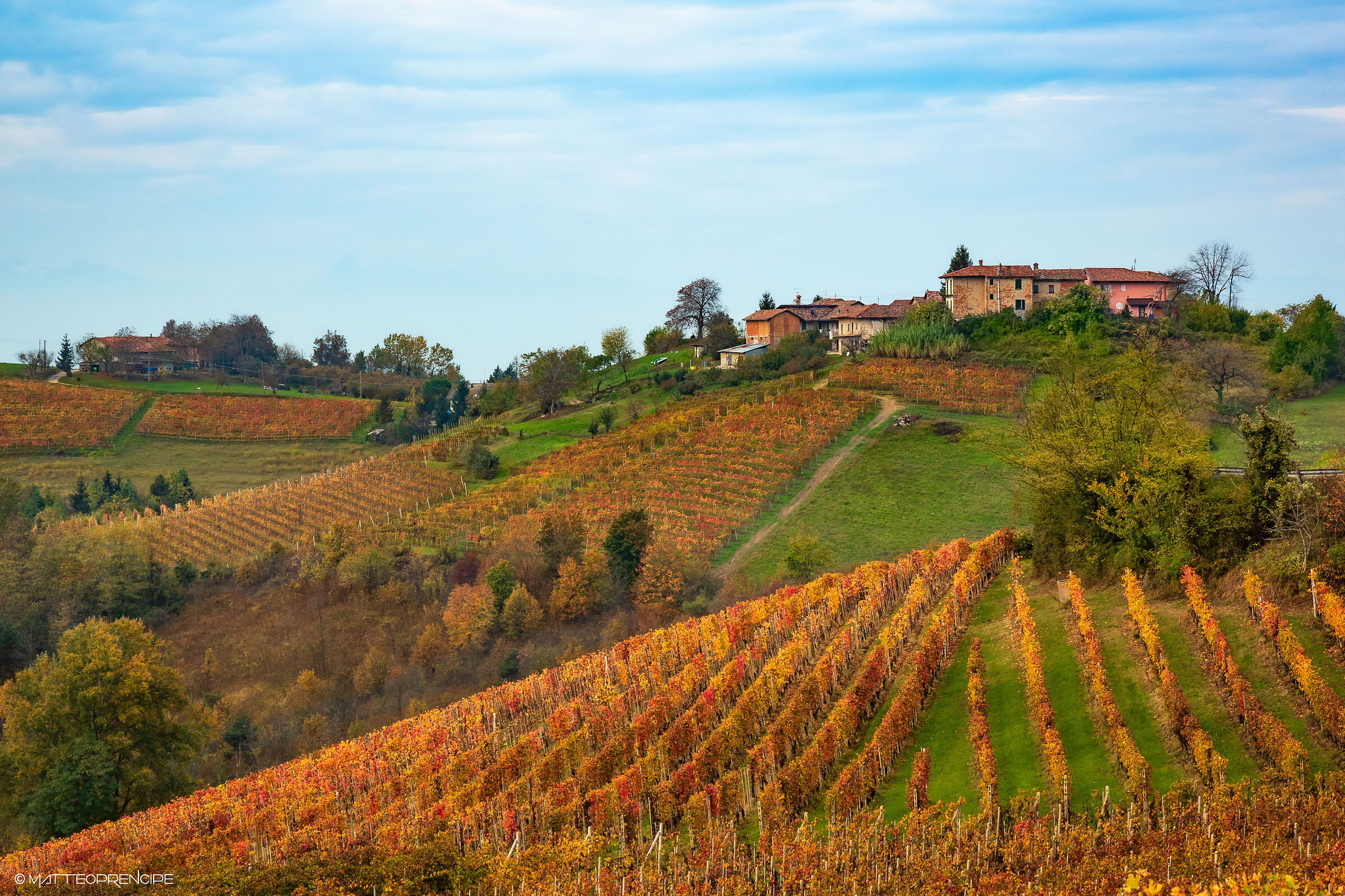 Langhe 2019