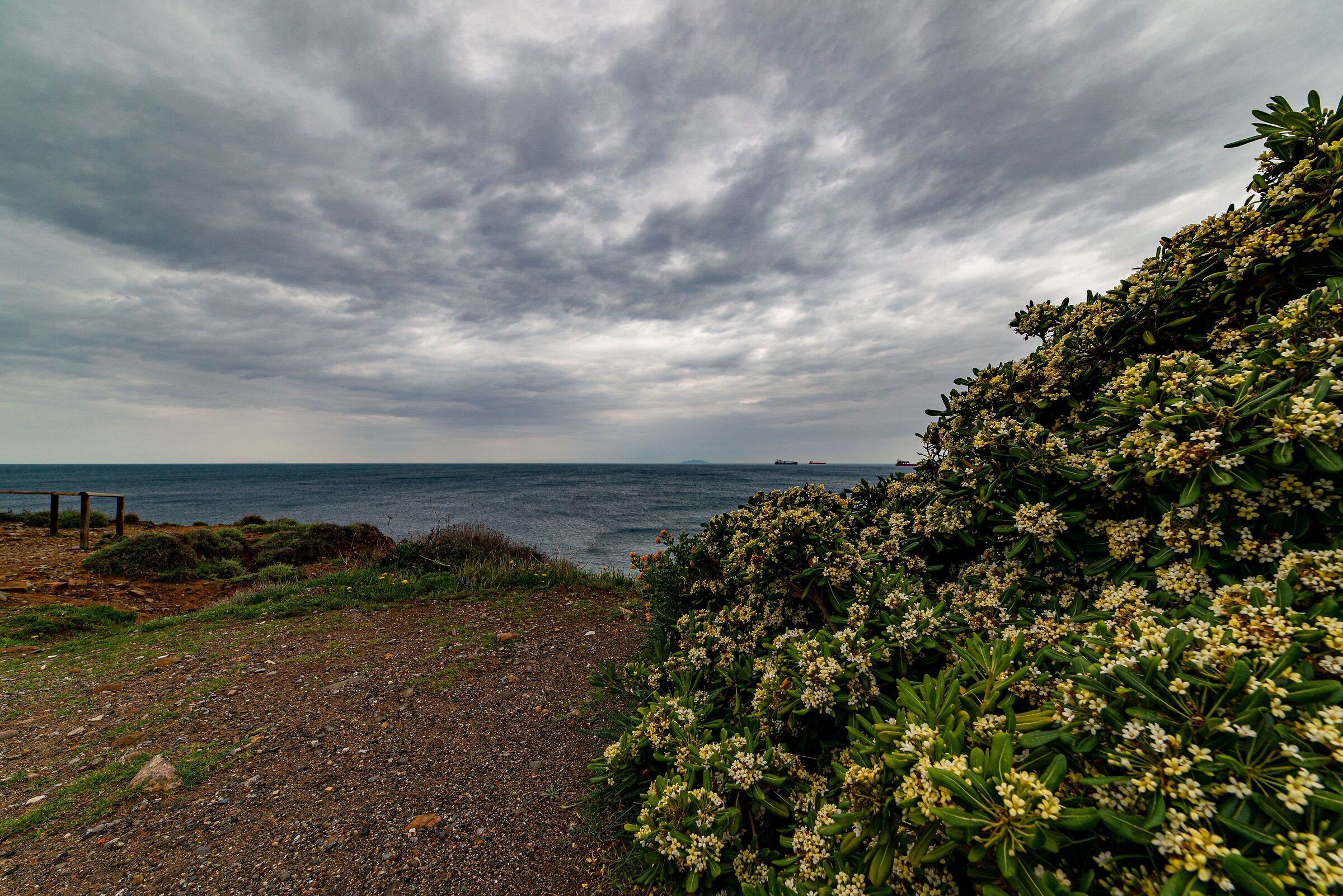 Mare d'inverno