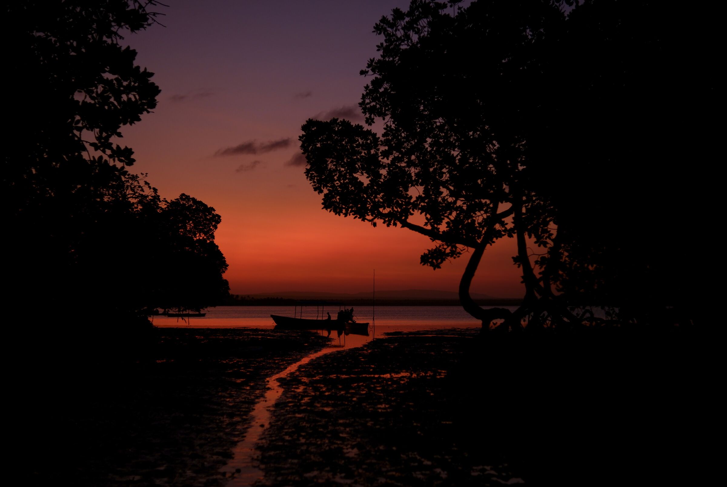 Tramonto tra le mangrovie