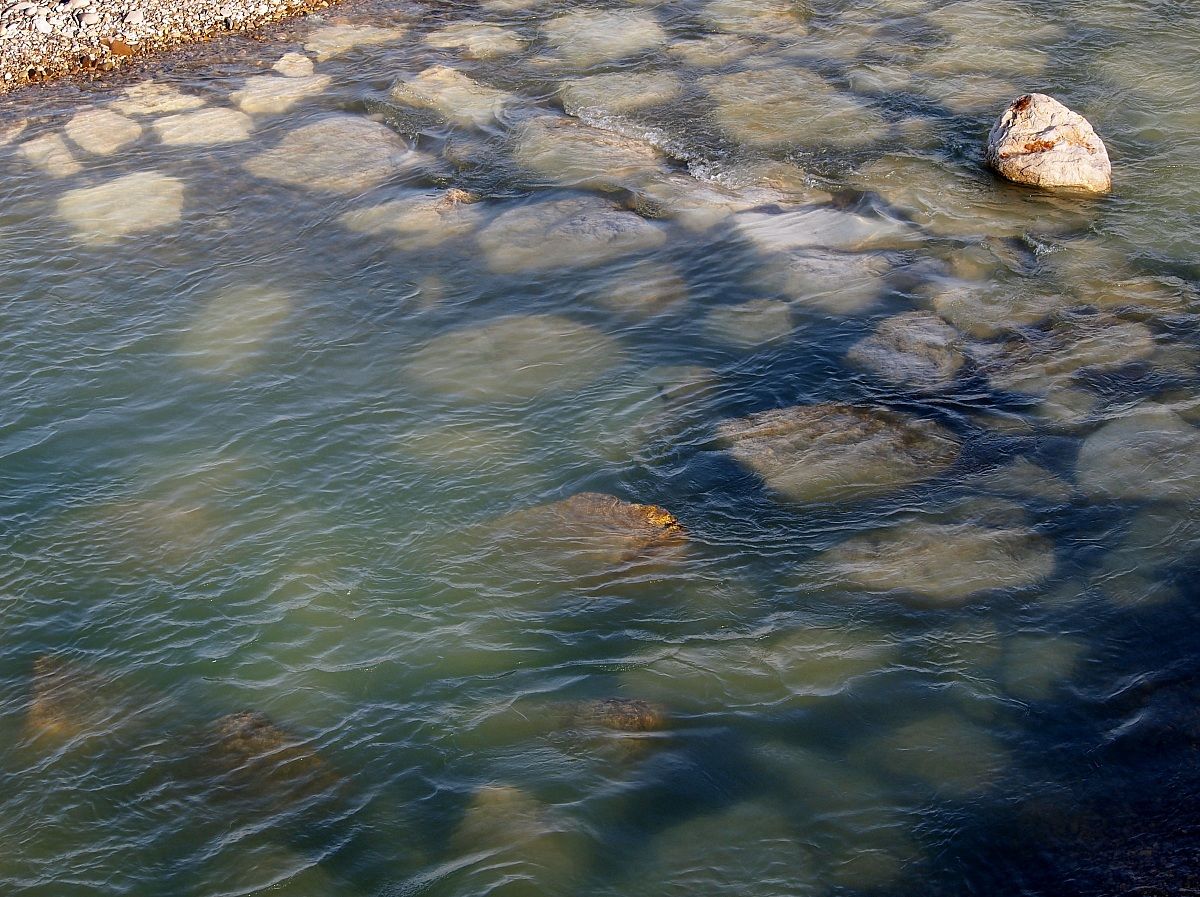 Park And Enza Montecchio