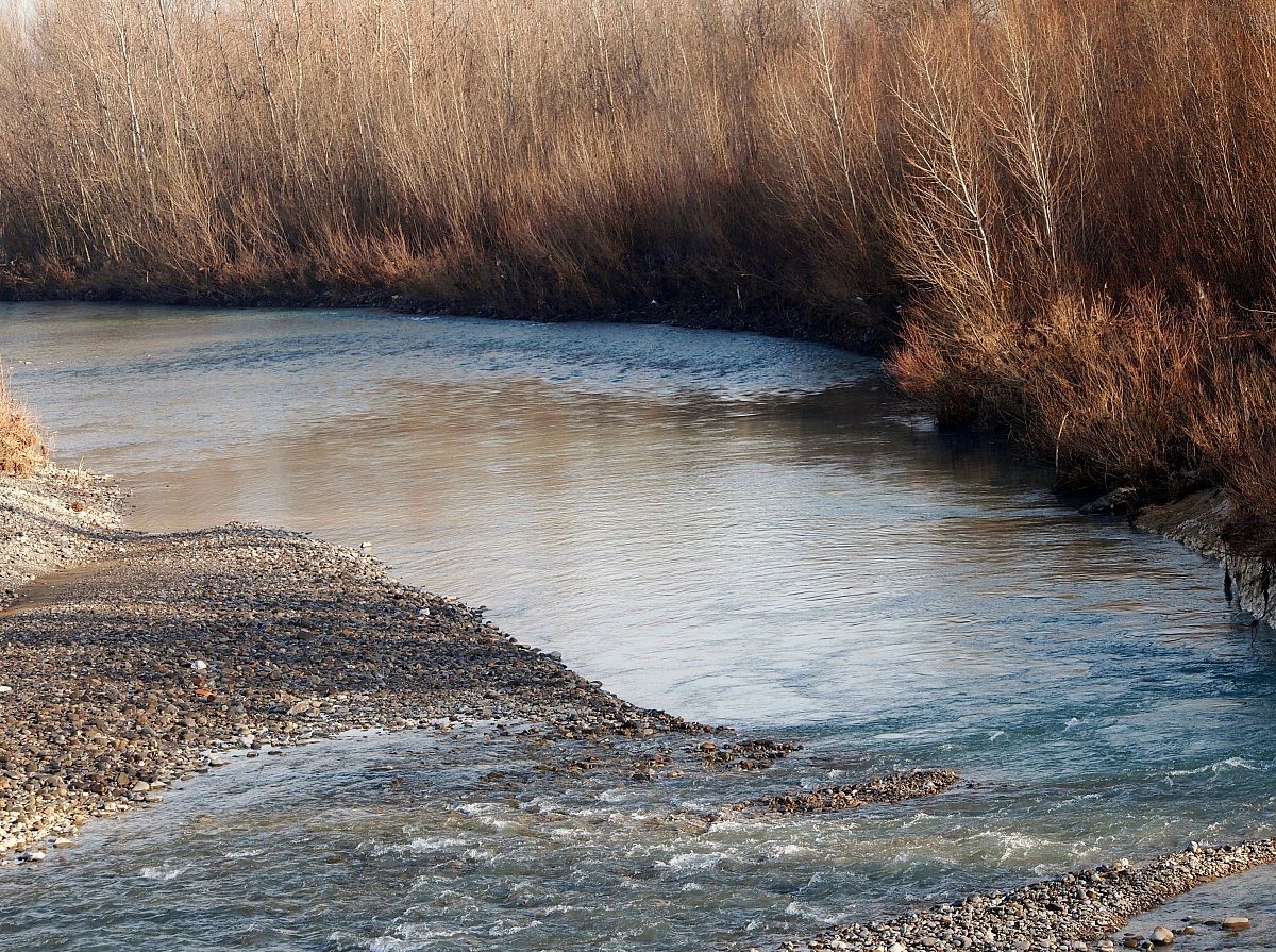 Park And Enza Montecchio
