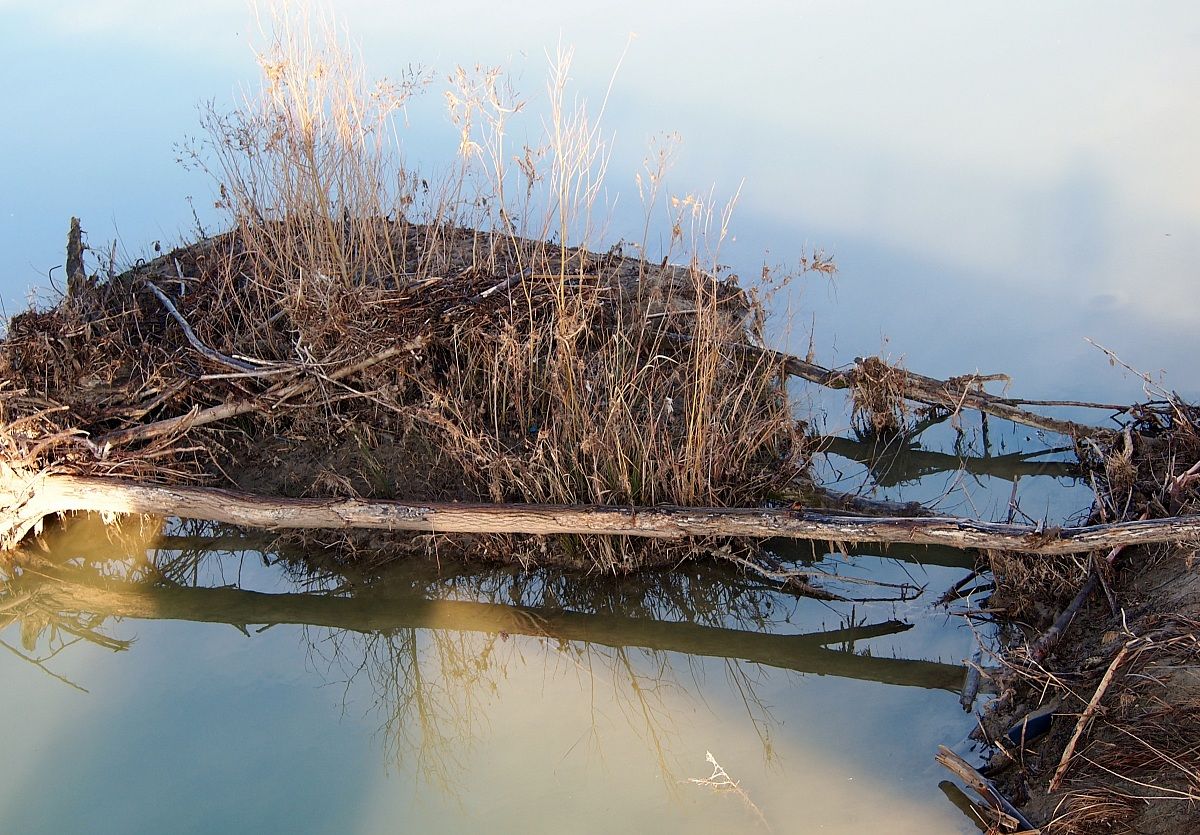 Park And Enza Montecchio