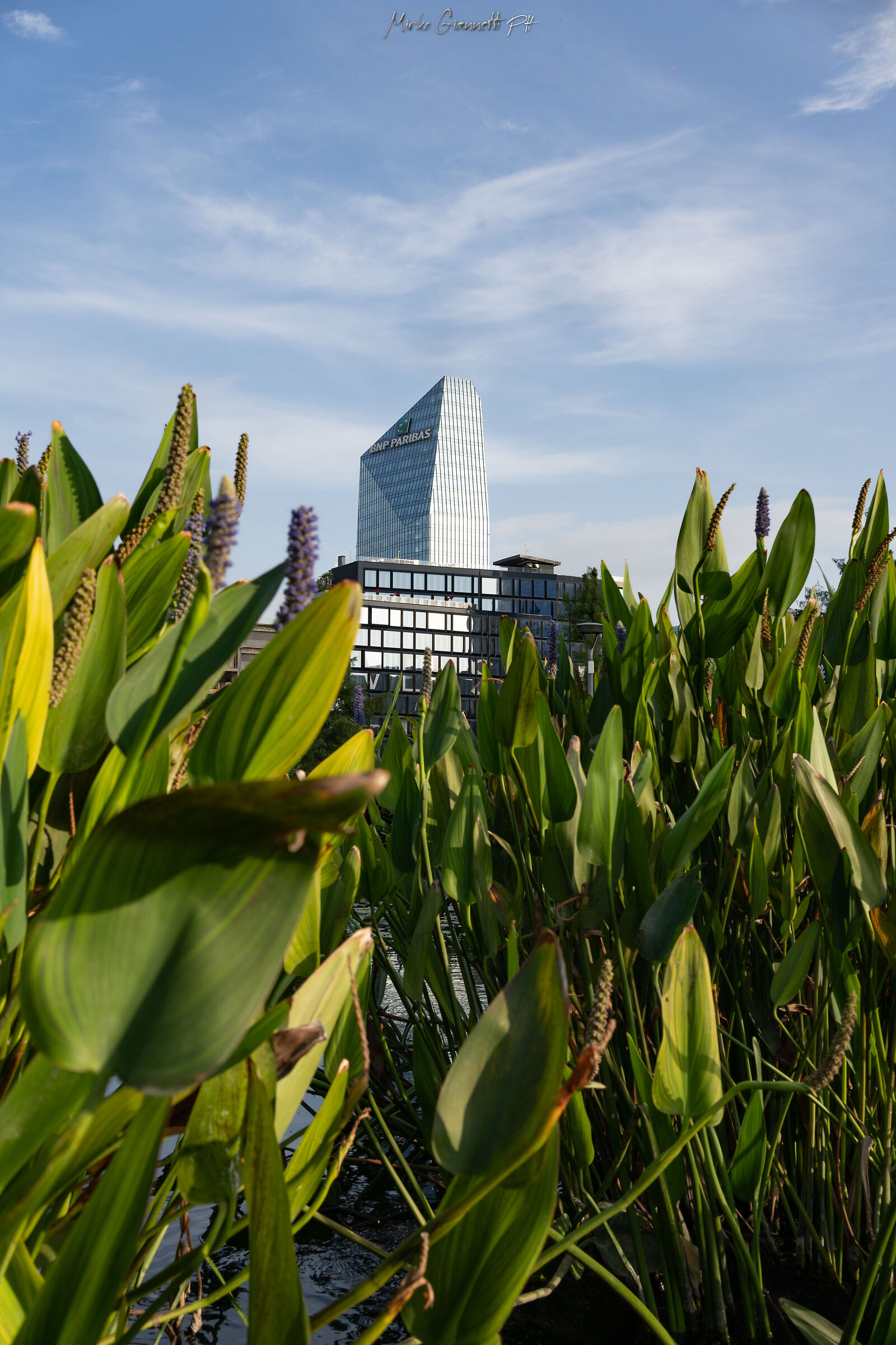 piazza Gae Aulenti Milano