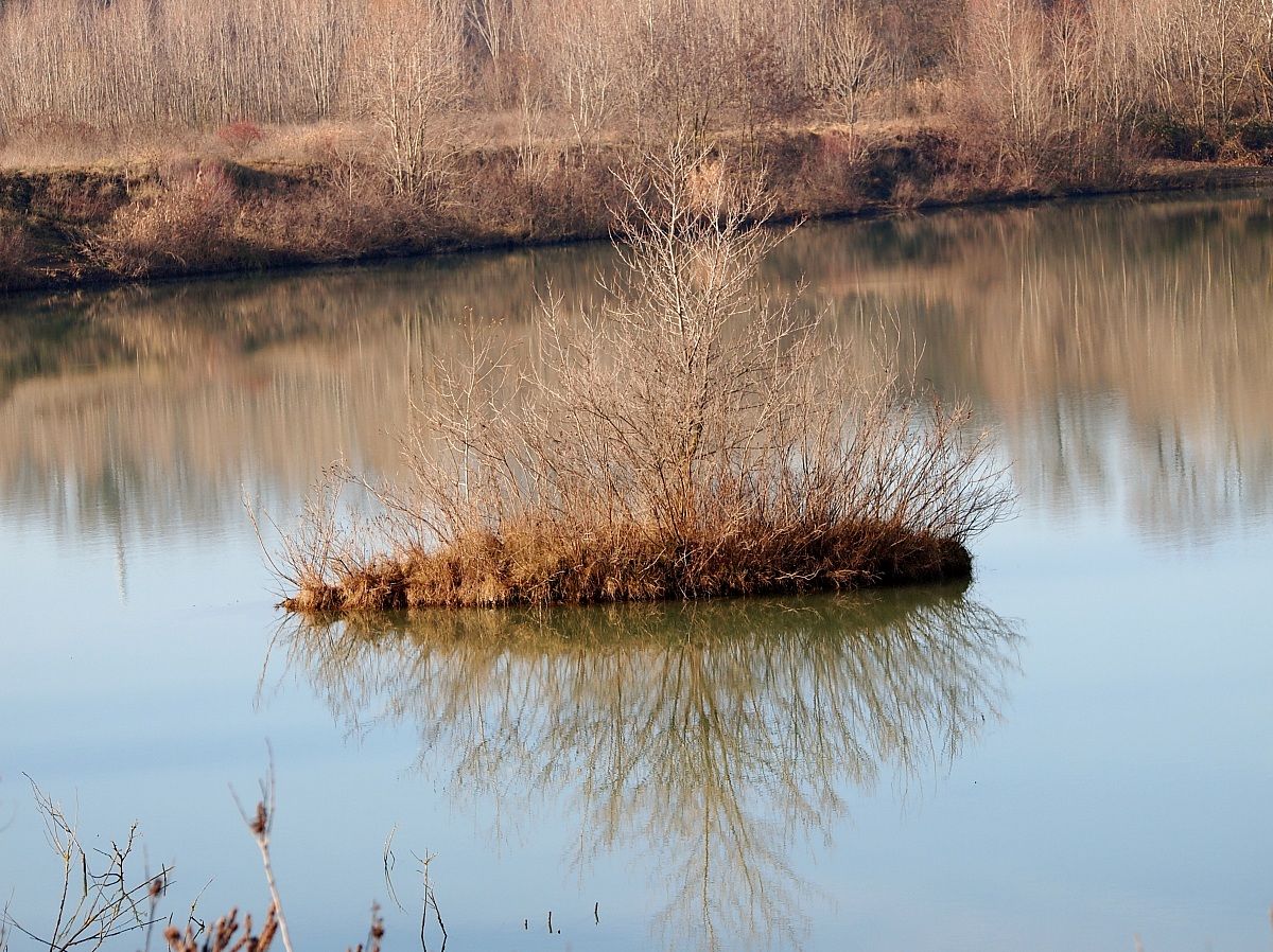 Park And Enza Montecchio