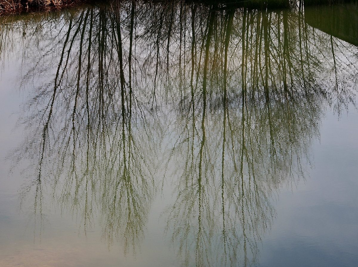 Park And Enza Montecchio