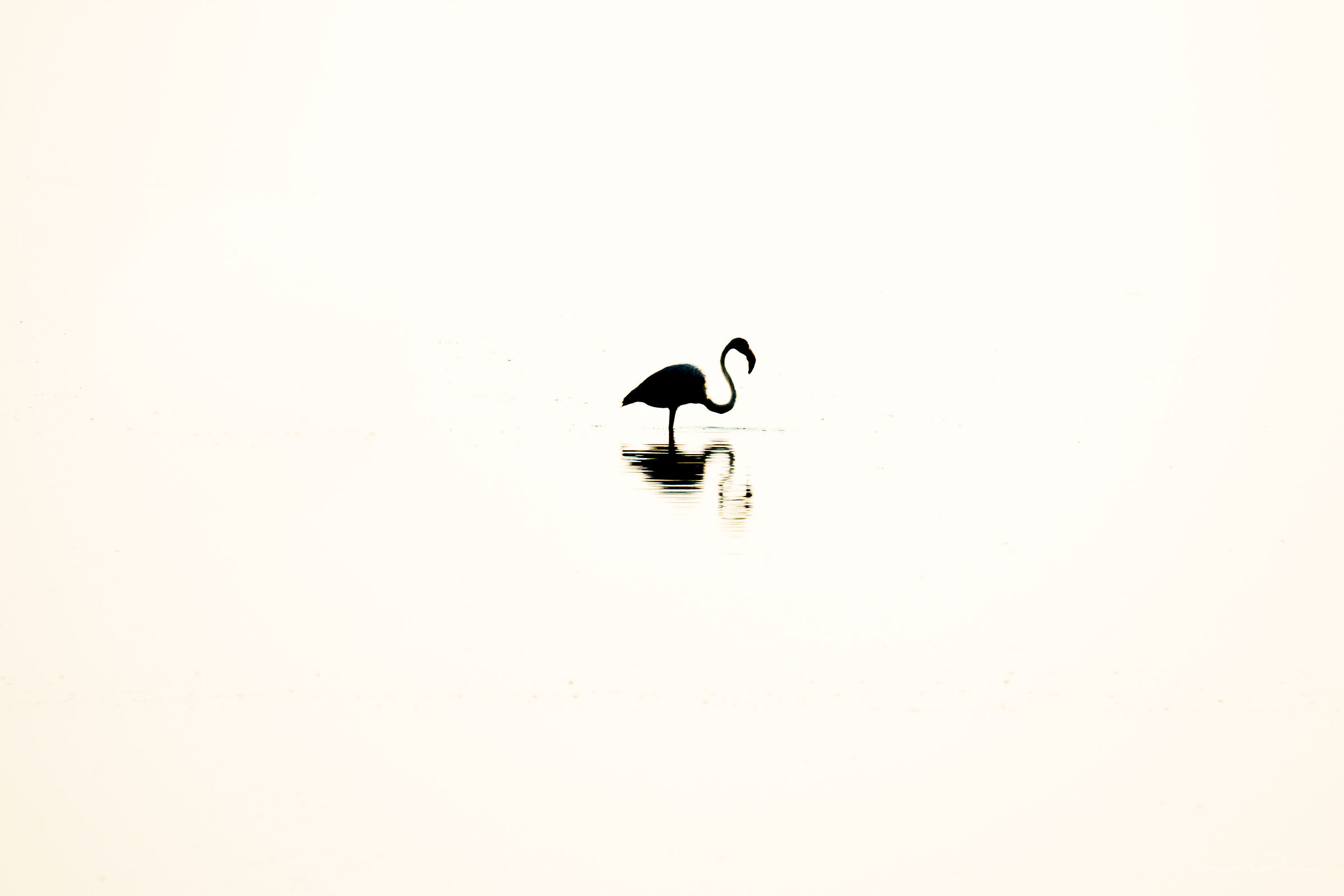 minimal