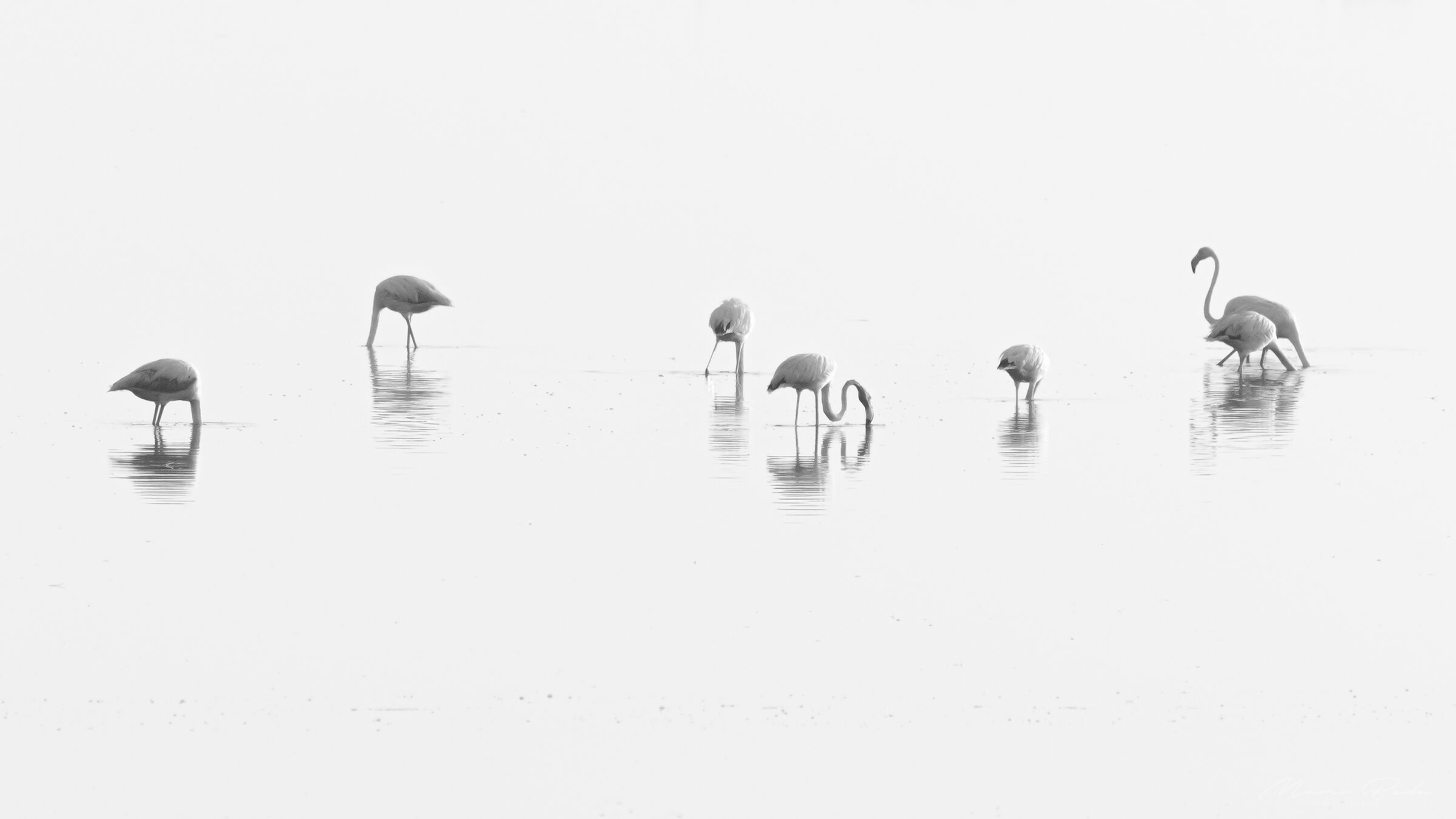 minimal
