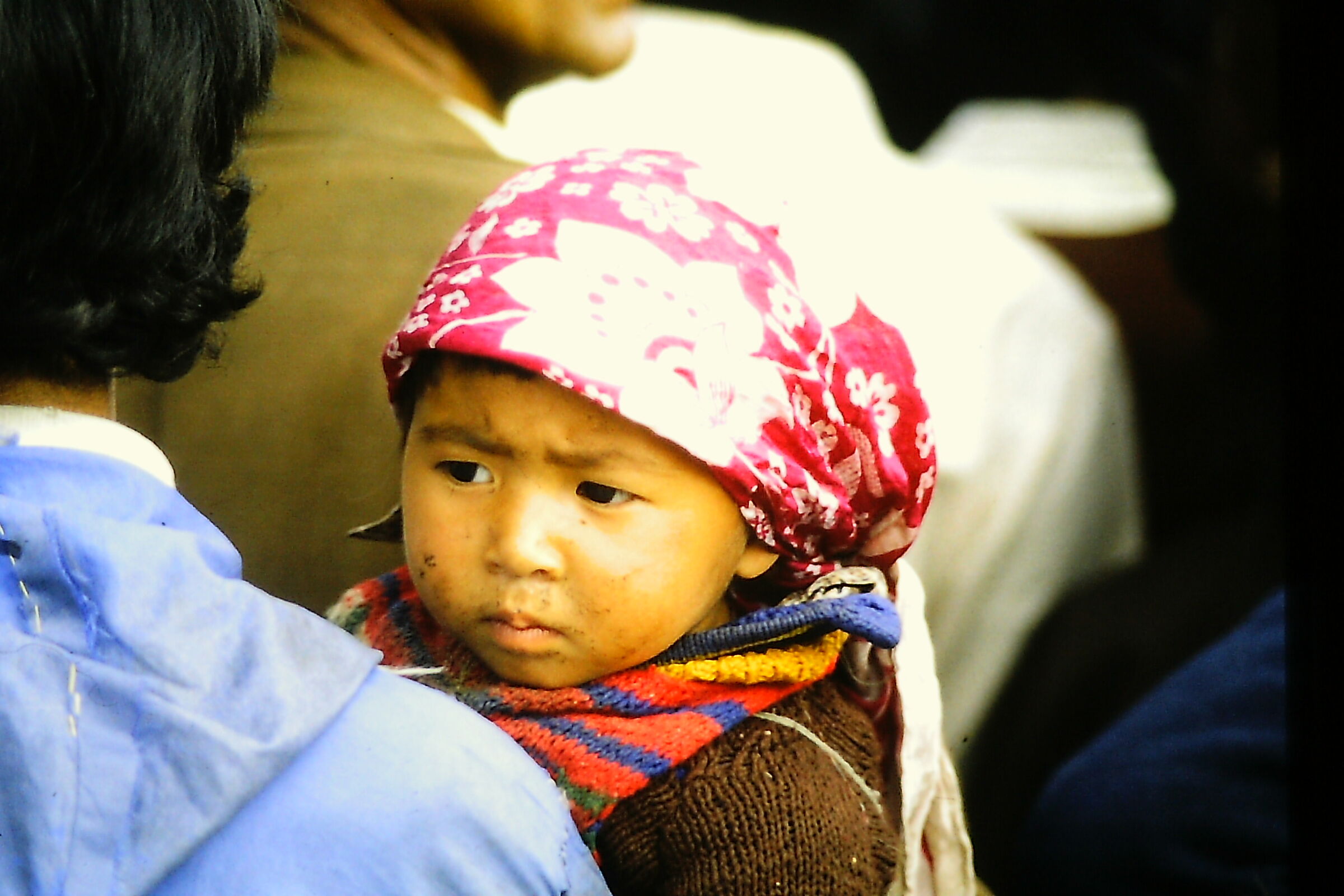 Leh Capital Laddah -August 1983 -Little sulky