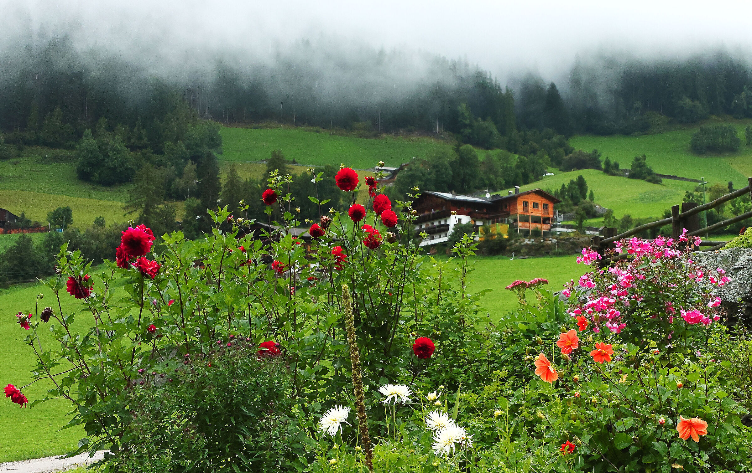Glimpse of the Ahrntal Valley.
