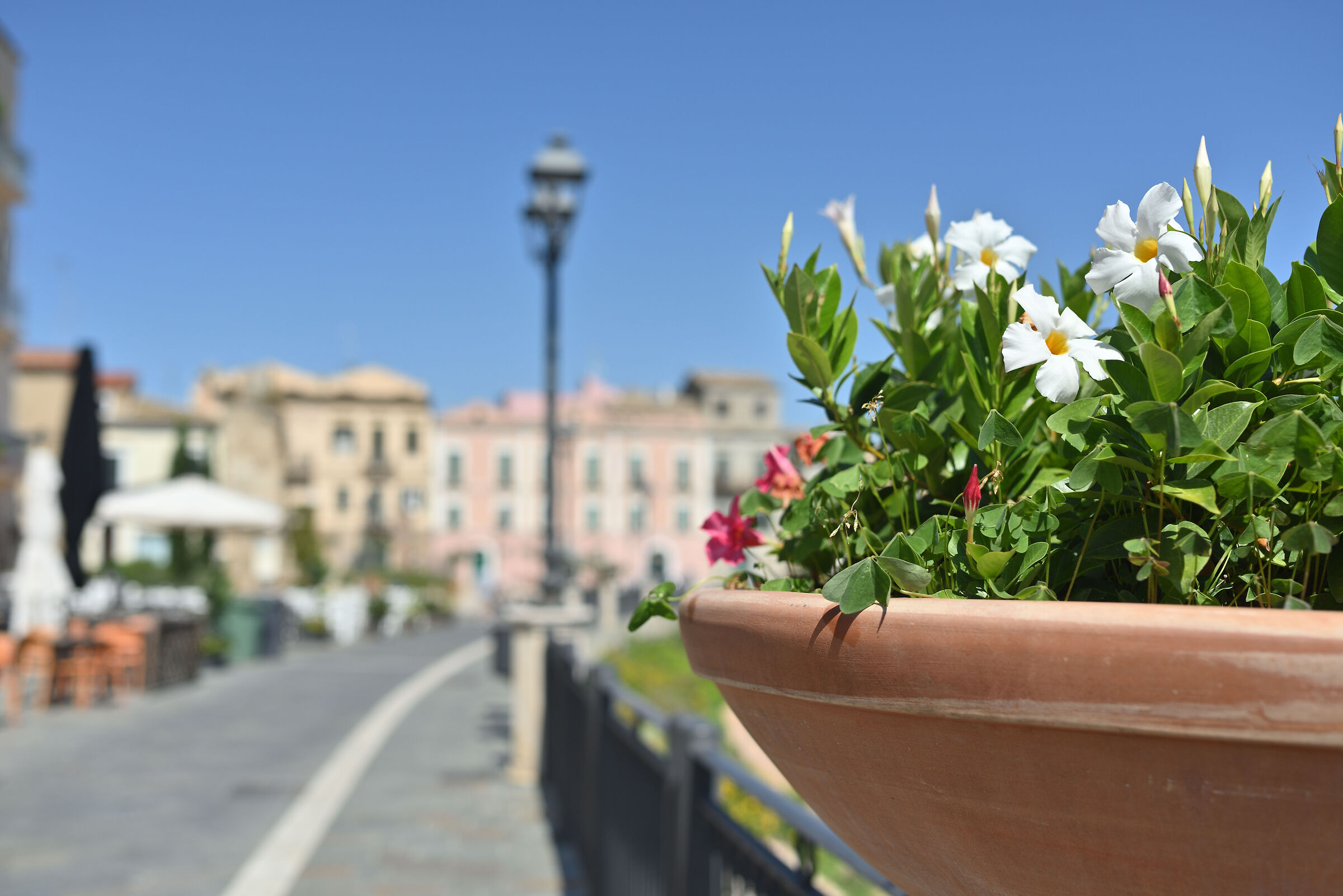 Test Samyang 35mm f. 1,4